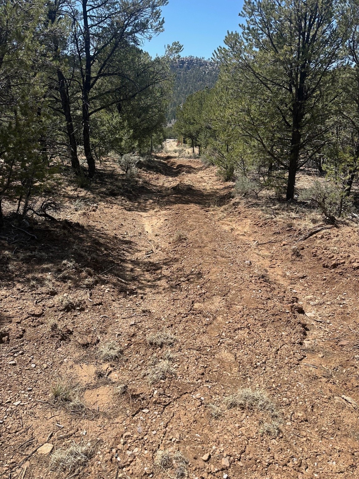 1480 State Road 111, Vallecitos, New Mexico image 4