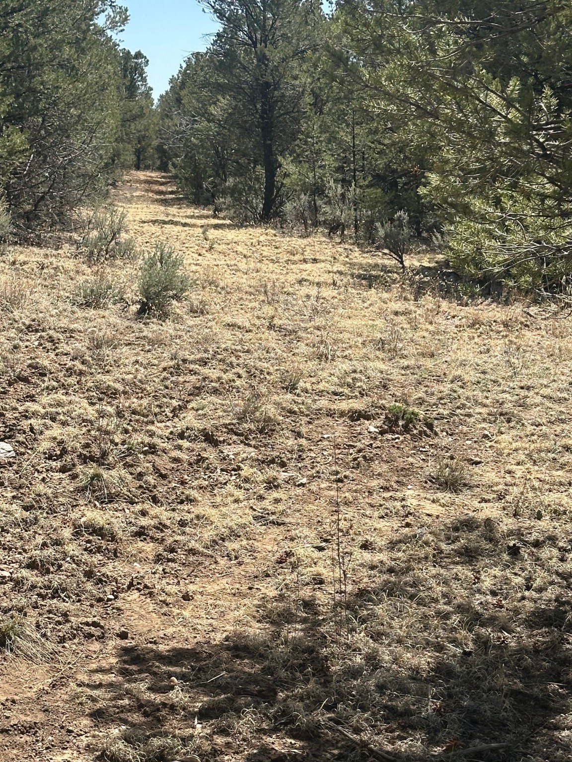 1480 State Road 111, Vallecitos, New Mexico image 10