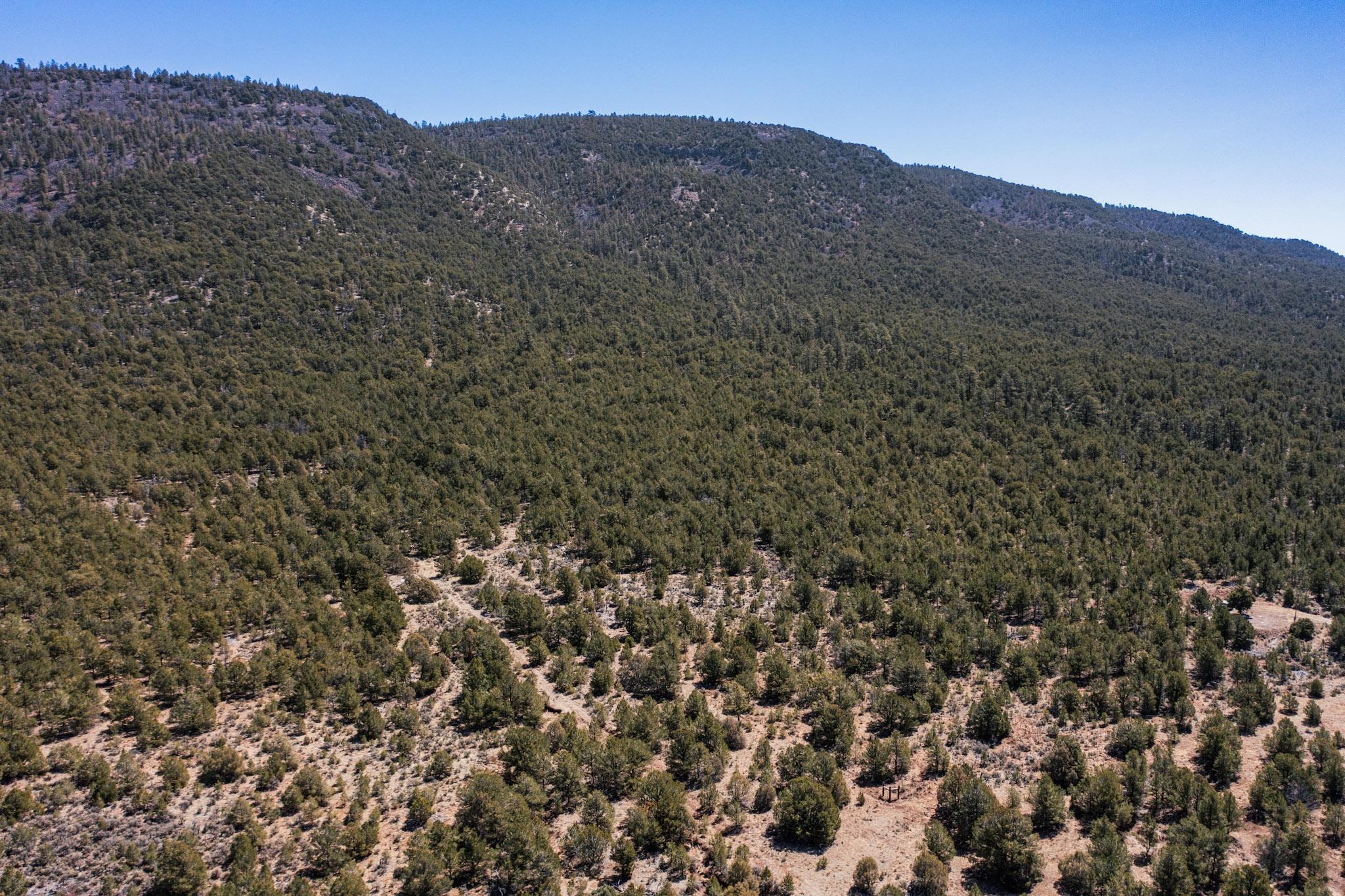 1480 State Road 111, Vallecitos, New Mexico image 17