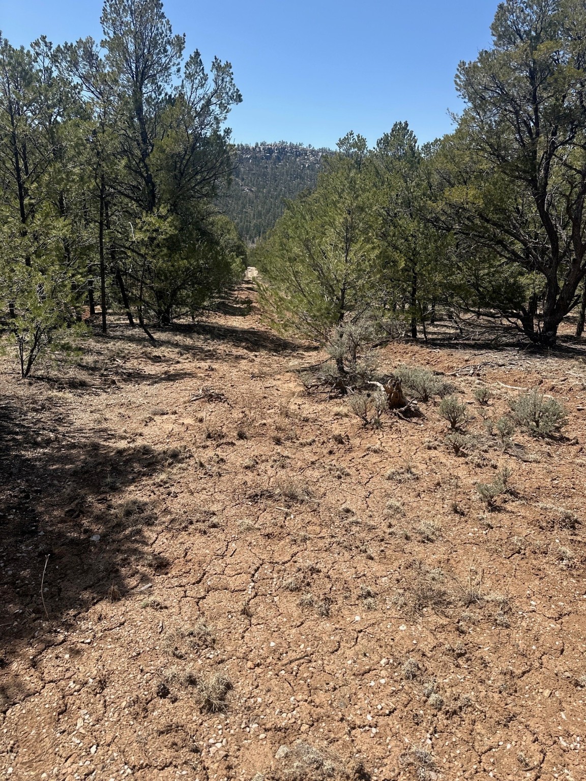 1480 State Road 111, Vallecitos, New Mexico image 5