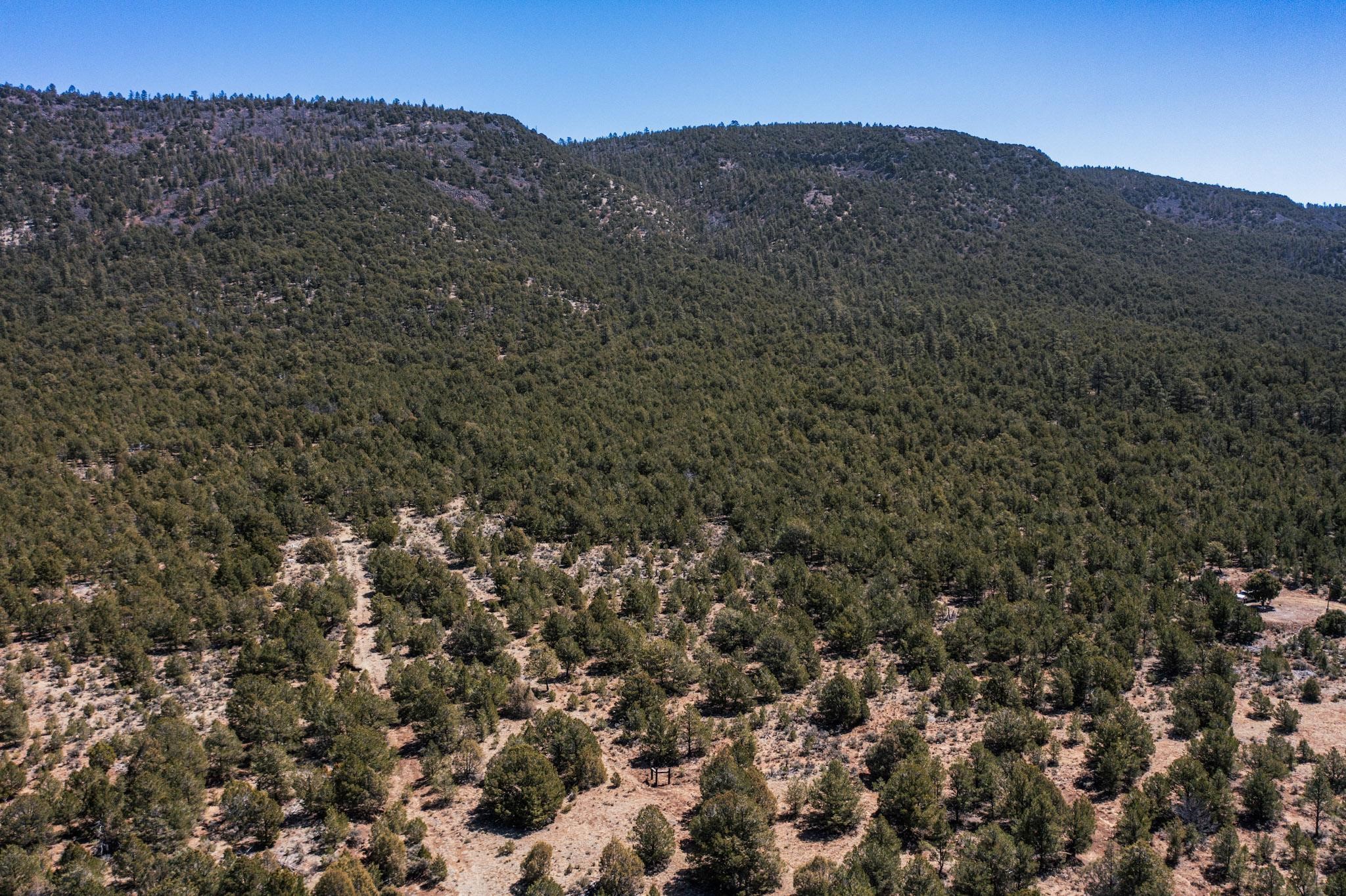 1480 State Road 111, Vallecitos, New Mexico image 24