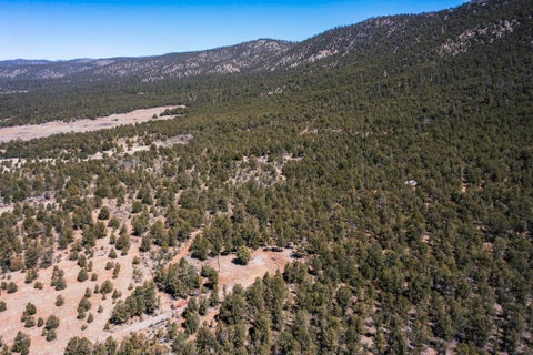 Vacant Land For Sale - 1480 State Road 111<br/> Rio Arriba County, Vallecitos, NM 87581