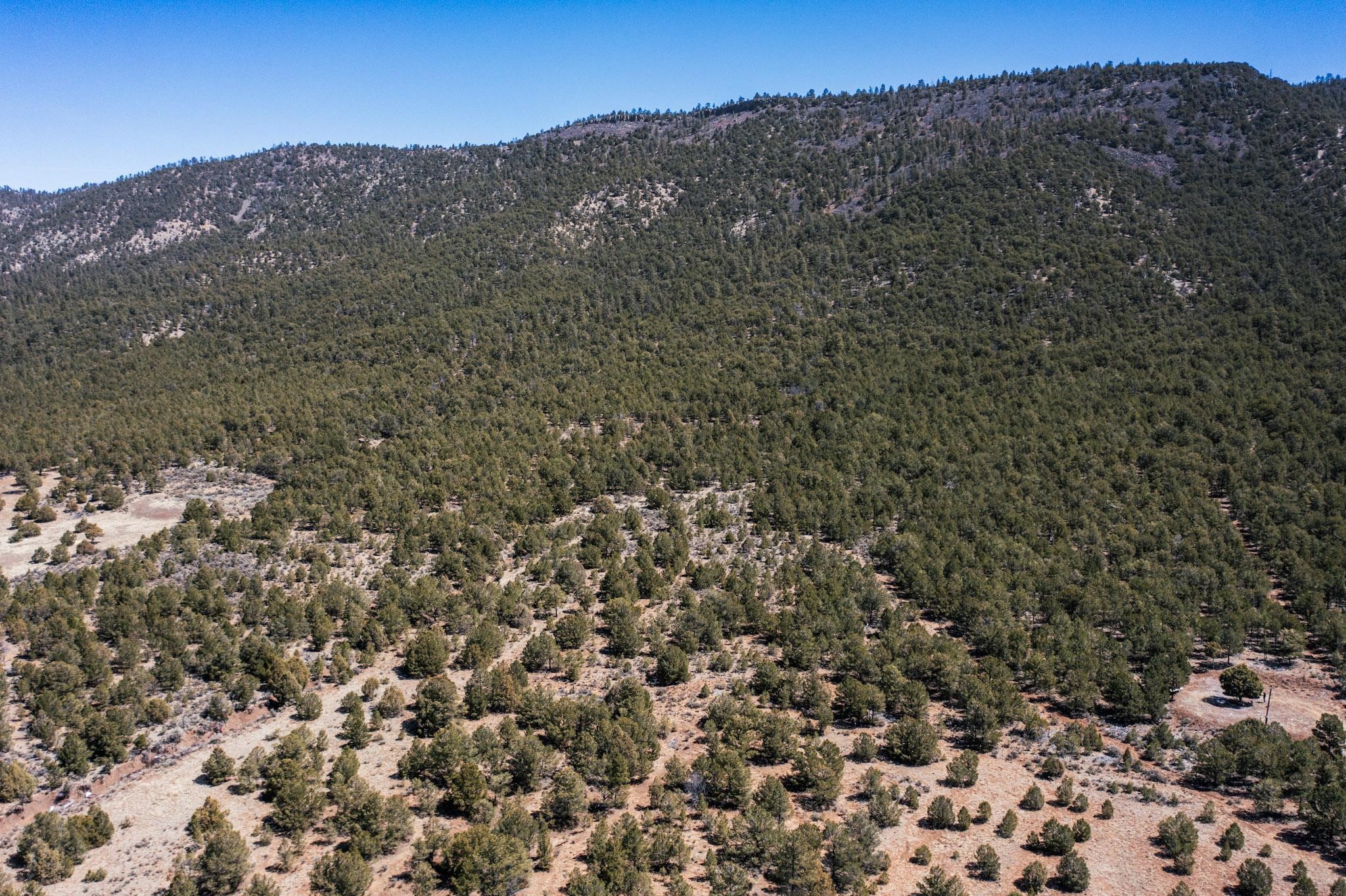 1480 State Road 111, Vallecitos, New Mexico image 23