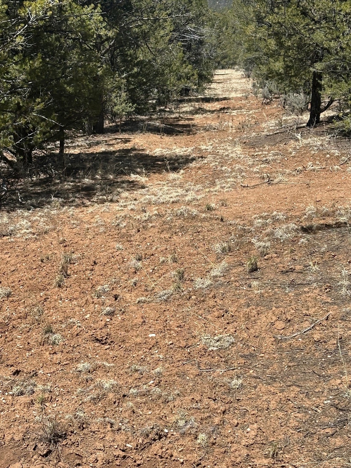 1480 State Road 111, Vallecitos, New Mexico image 6