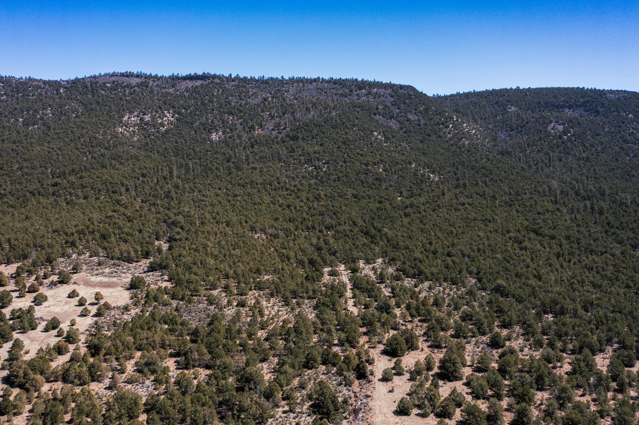 1480 State Road 111, Vallecitos, New Mexico image 16