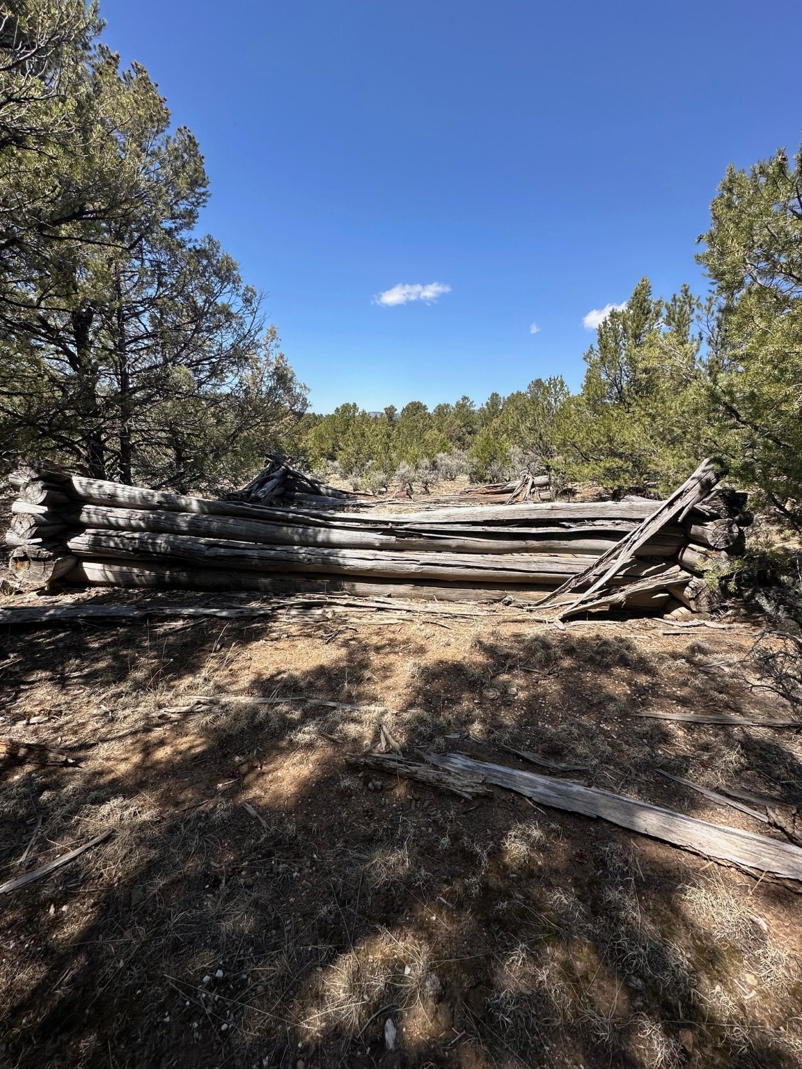 1480 State Road 111, Vallecitos, New Mexico image 11