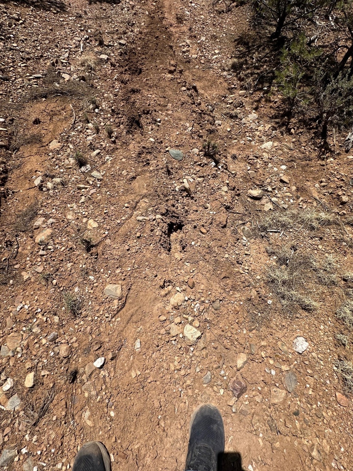 1480 State Road 111, Vallecitos, New Mexico image 13