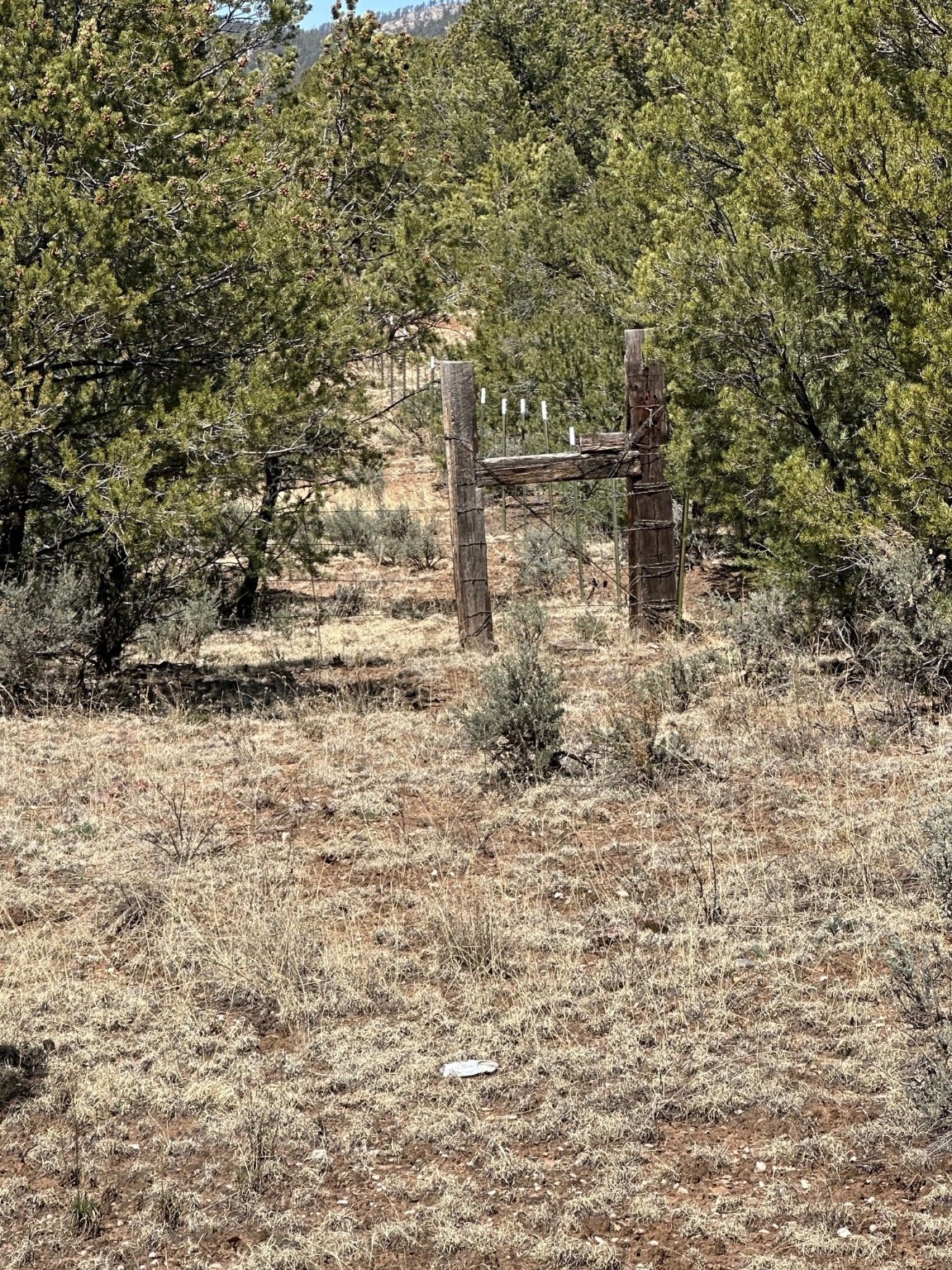 1480 State Road 111, Vallecitos, New Mexico image 9