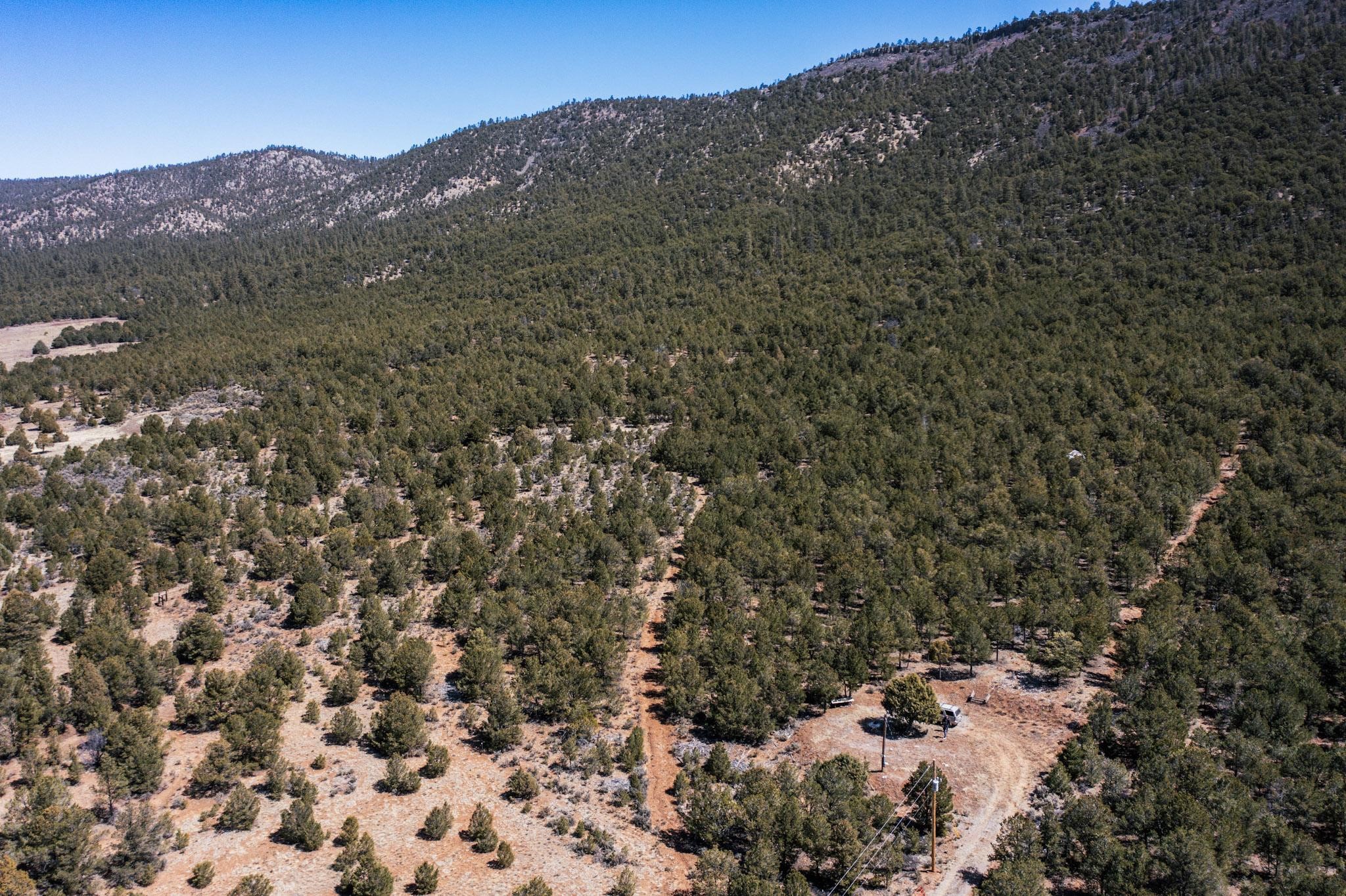 1480 State Road 111, Vallecitos, New Mexico image 15