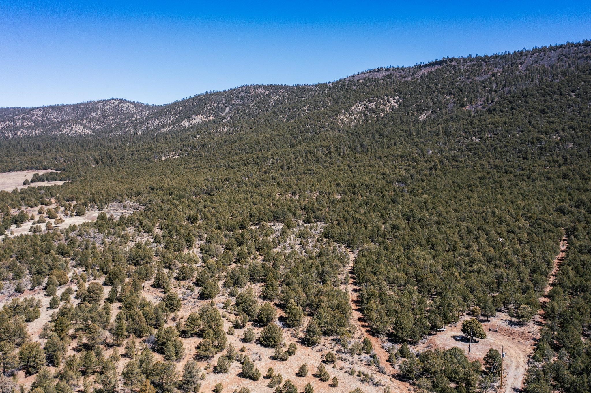 1480 State Road 111, Vallecitos, New Mexico image 26