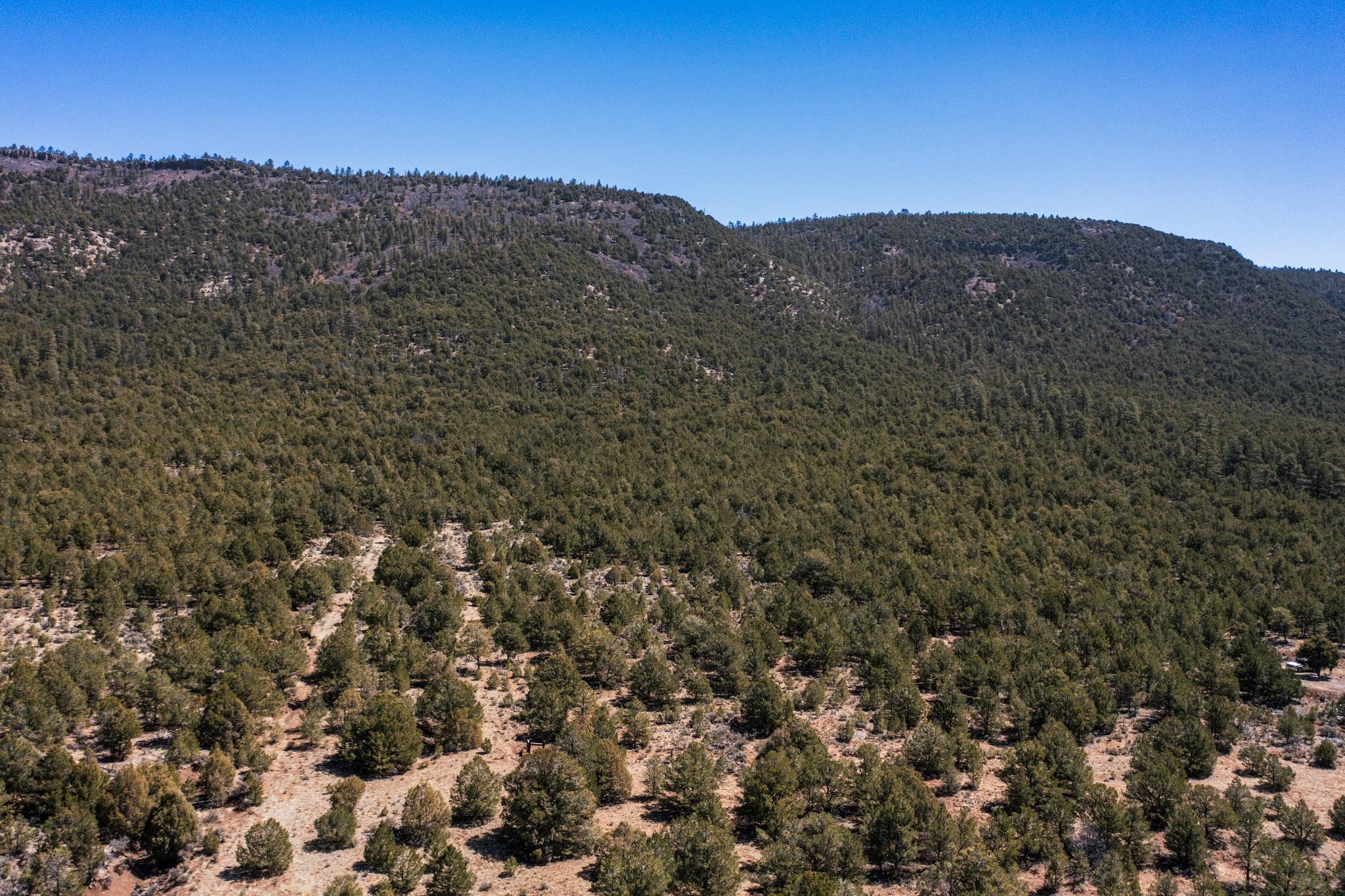 1480 State Road 111, Vallecitos, New Mexico image 27