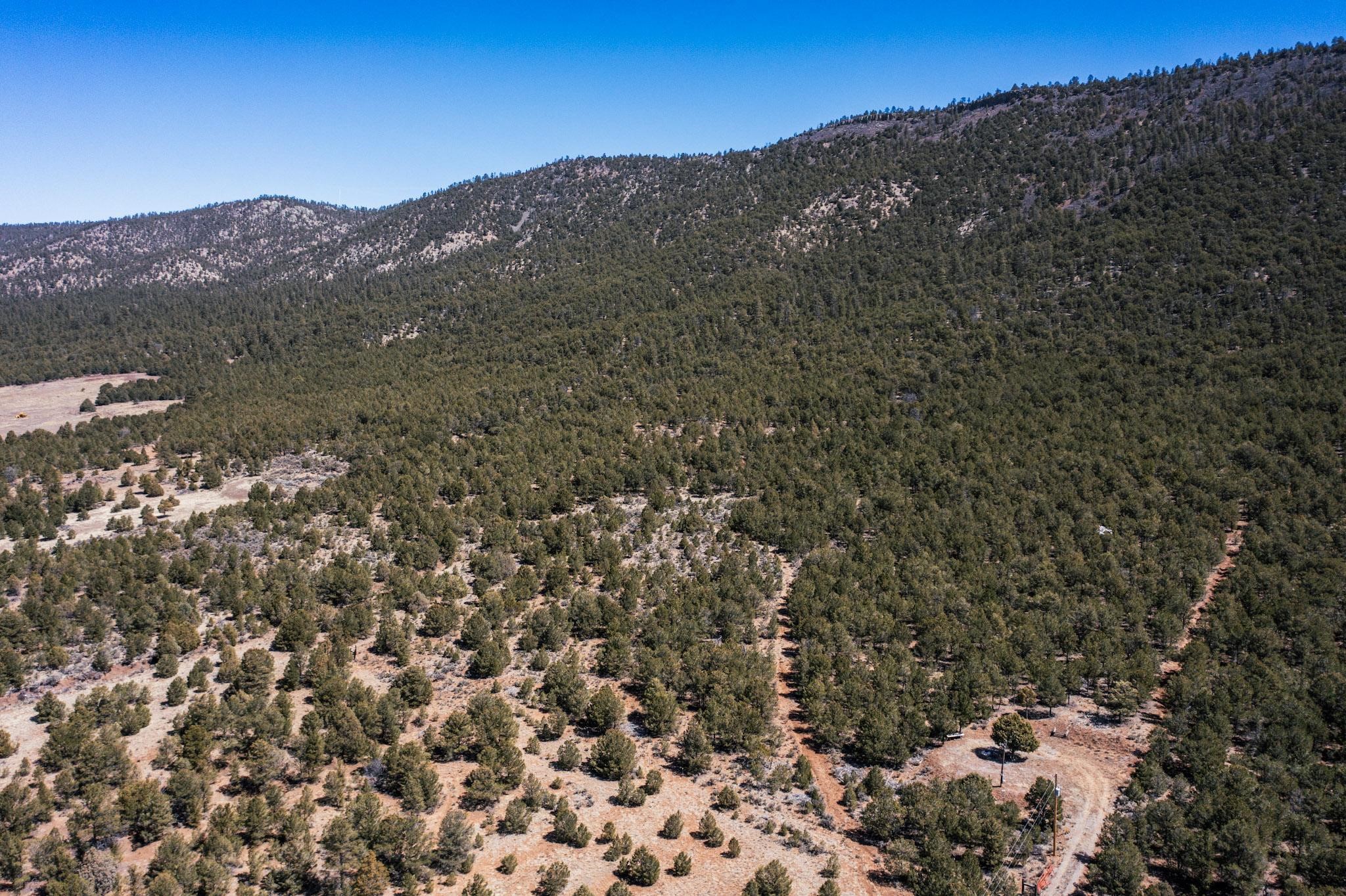 1480 State Road 111, Vallecitos, New Mexico image 22