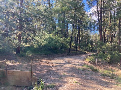 Vacant Land For Sale - TBD Serenity Drive<br/> Rio Arriba County, Chama, NM 87520