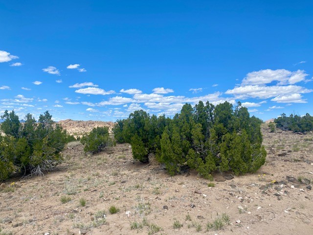 00 Tract Black Mesa, Ojo Caliente, New Mexico image 3