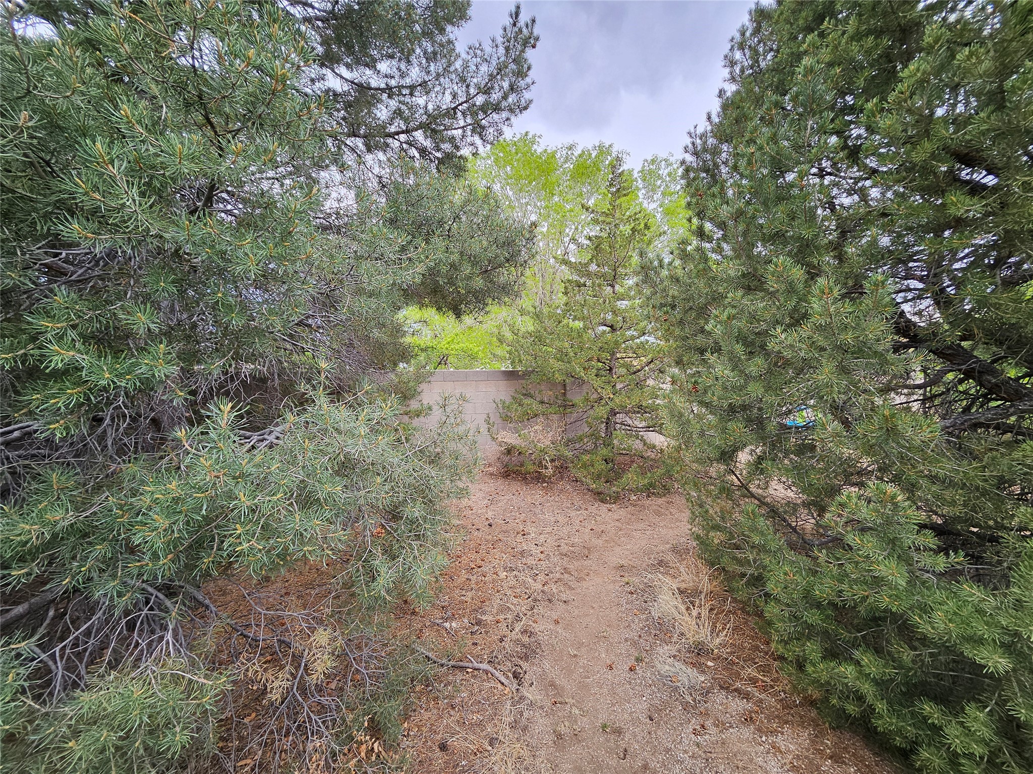 141014 Piedras Road, Albuquerque, New Mexico image 15