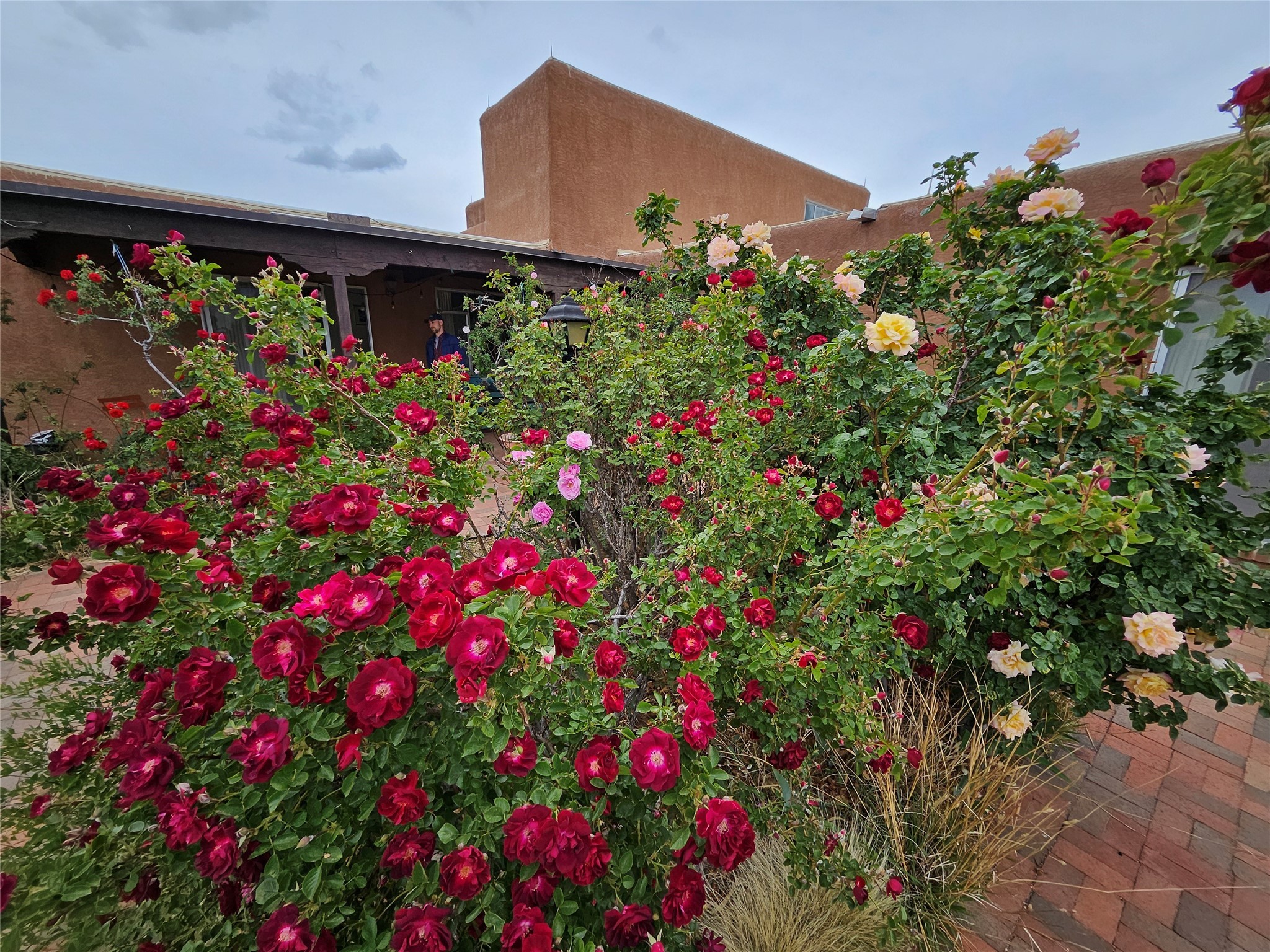141014 Piedras Road, Albuquerque, New Mexico image 20
