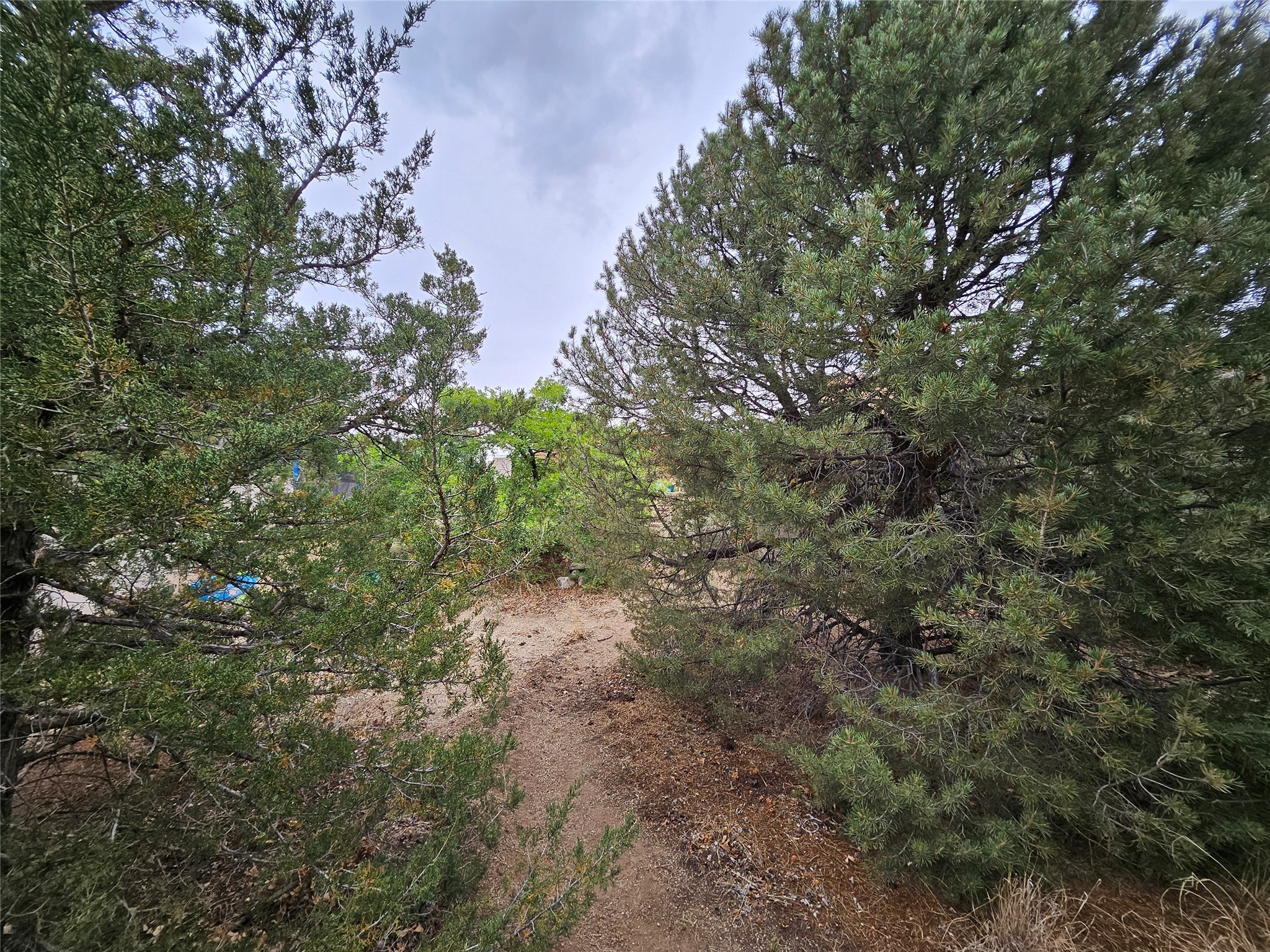 141014 Piedras Road, Albuquerque, New Mexico image 17