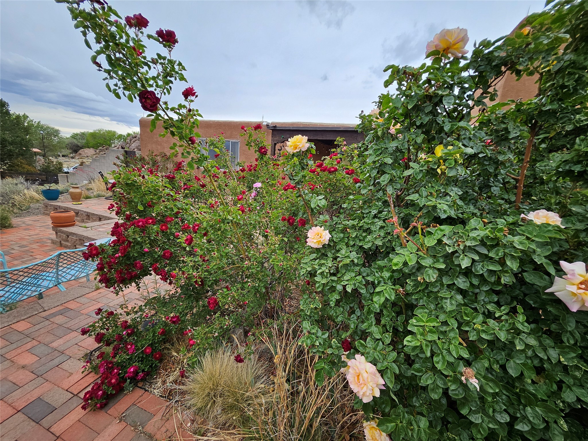141014 Piedras Road, Albuquerque, New Mexico image 19