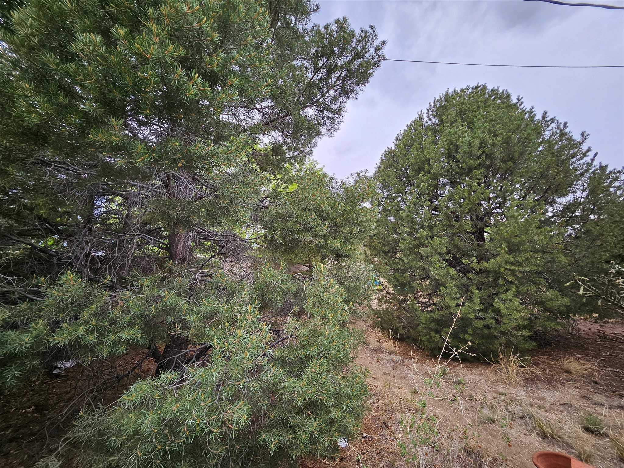 141014 Piedras Road, Albuquerque, New Mexico image 16