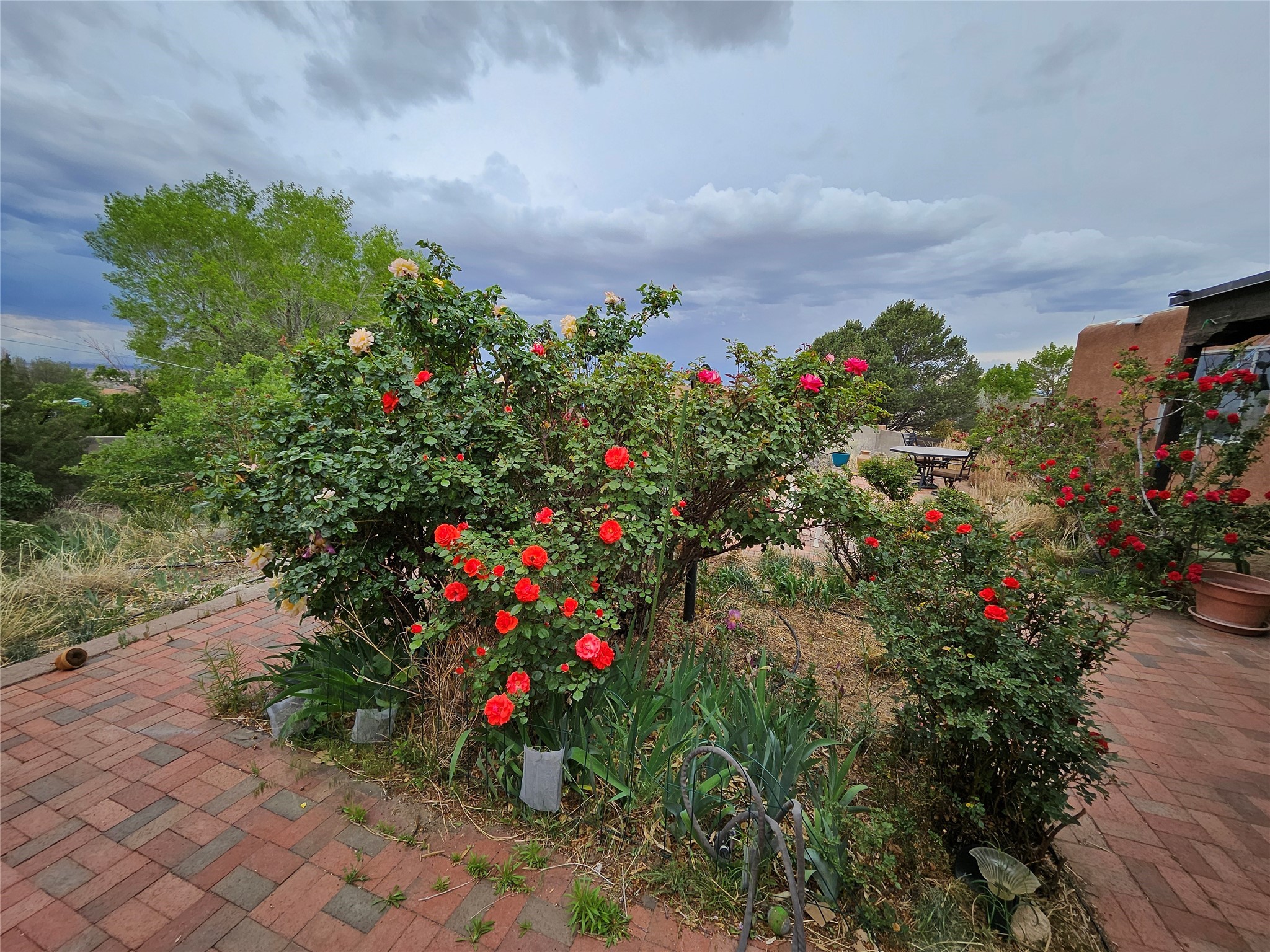 141014 Piedras Road, Albuquerque, New Mexico image 18