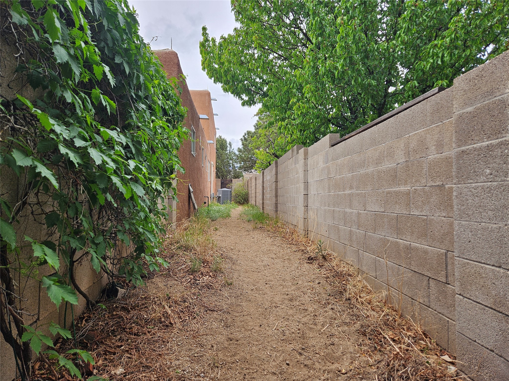 141014 Piedras Road, Albuquerque, New Mexico image 14