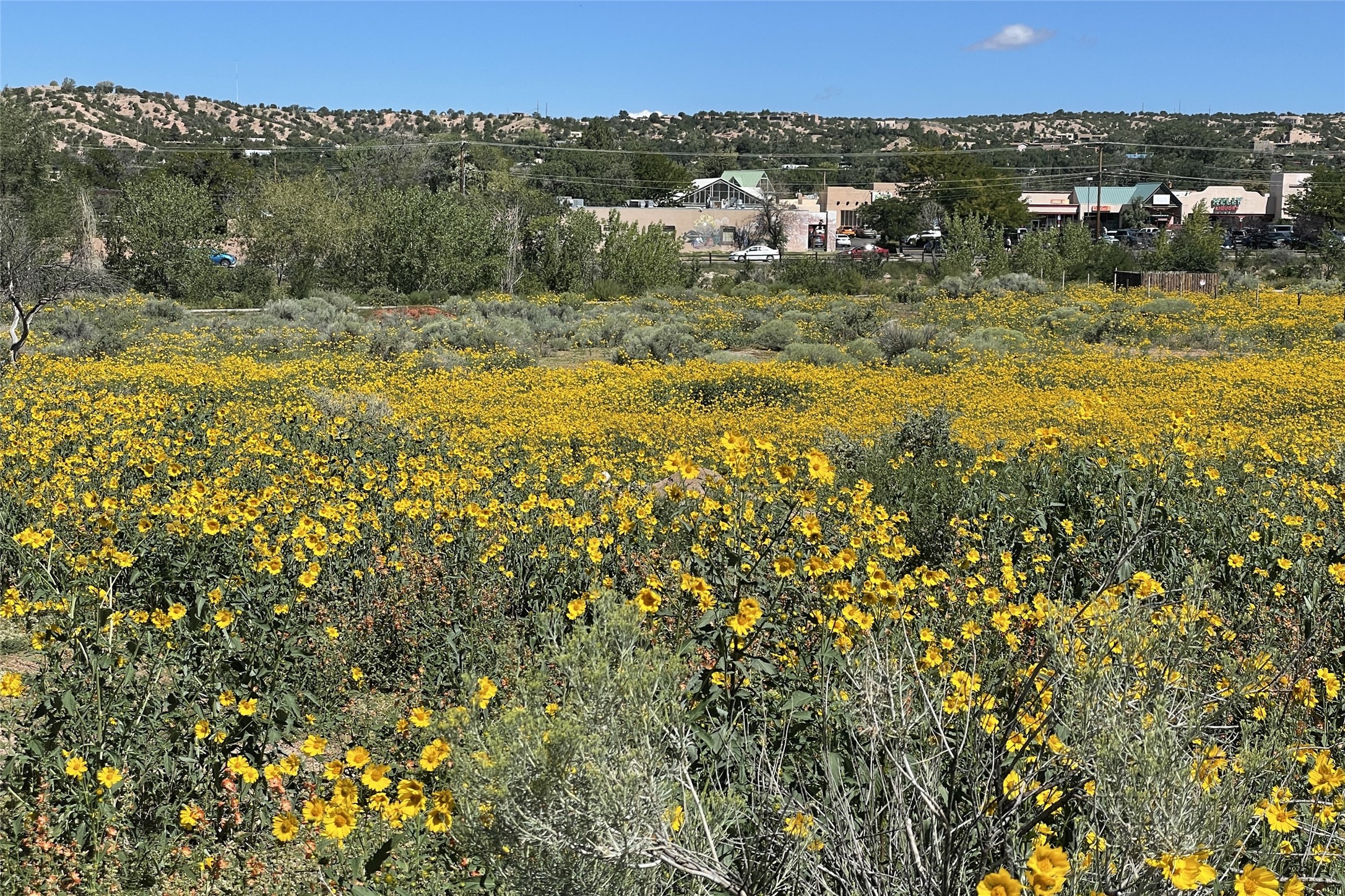 1017 Alto Street #LOT 1, Santa Fe, New Mexico image 3