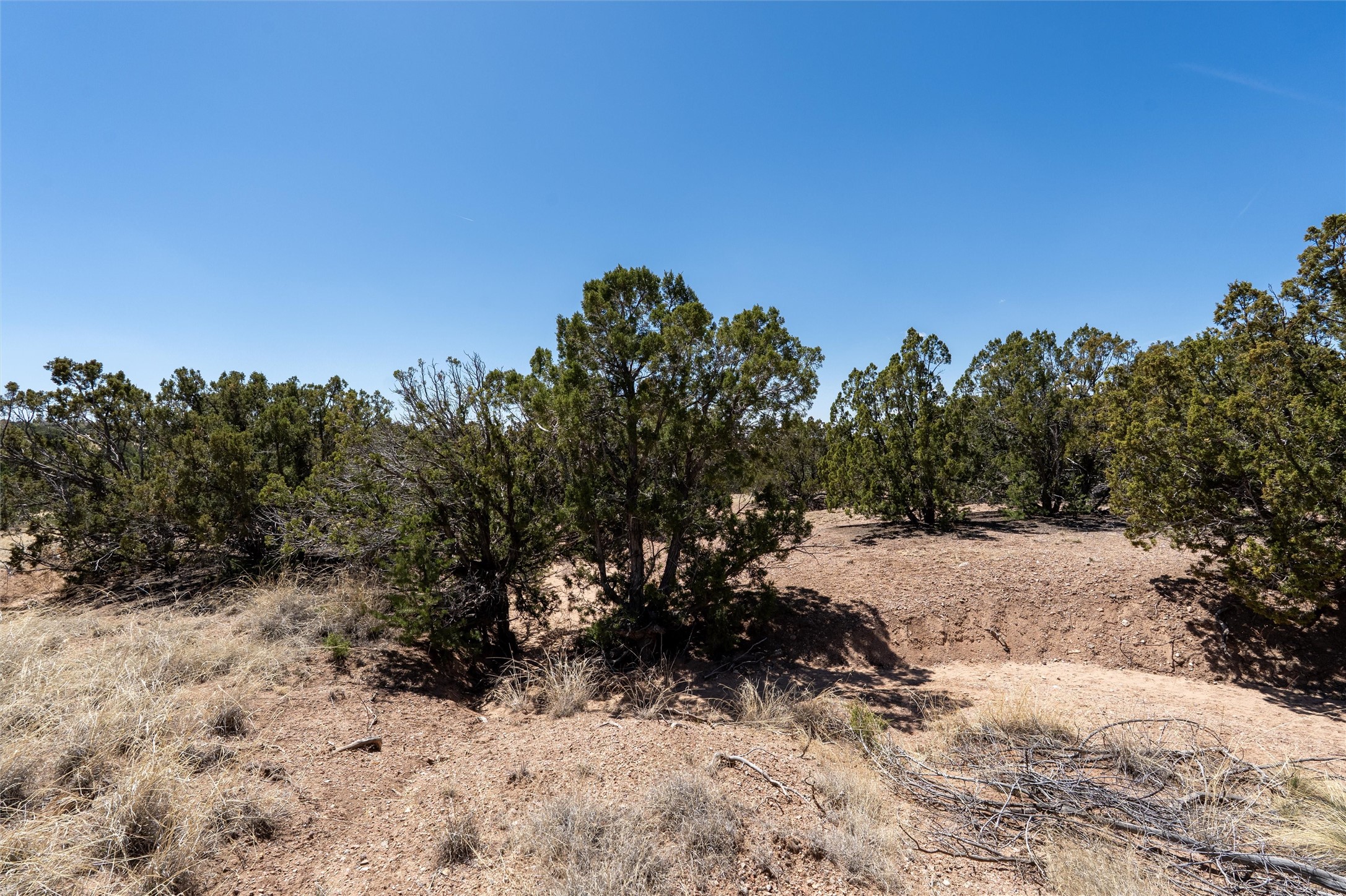 151 Graythorn Drive, Santa Fe, New Mexico image 16