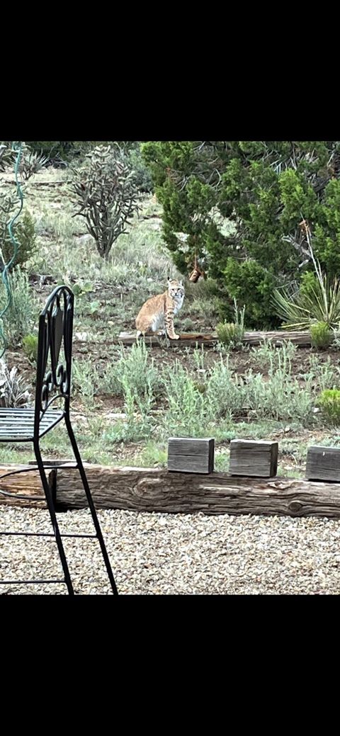 Tiny photo for 23 Camino Cerro Chato, Cerrillos, NM 87010 (MLS # 202600472)