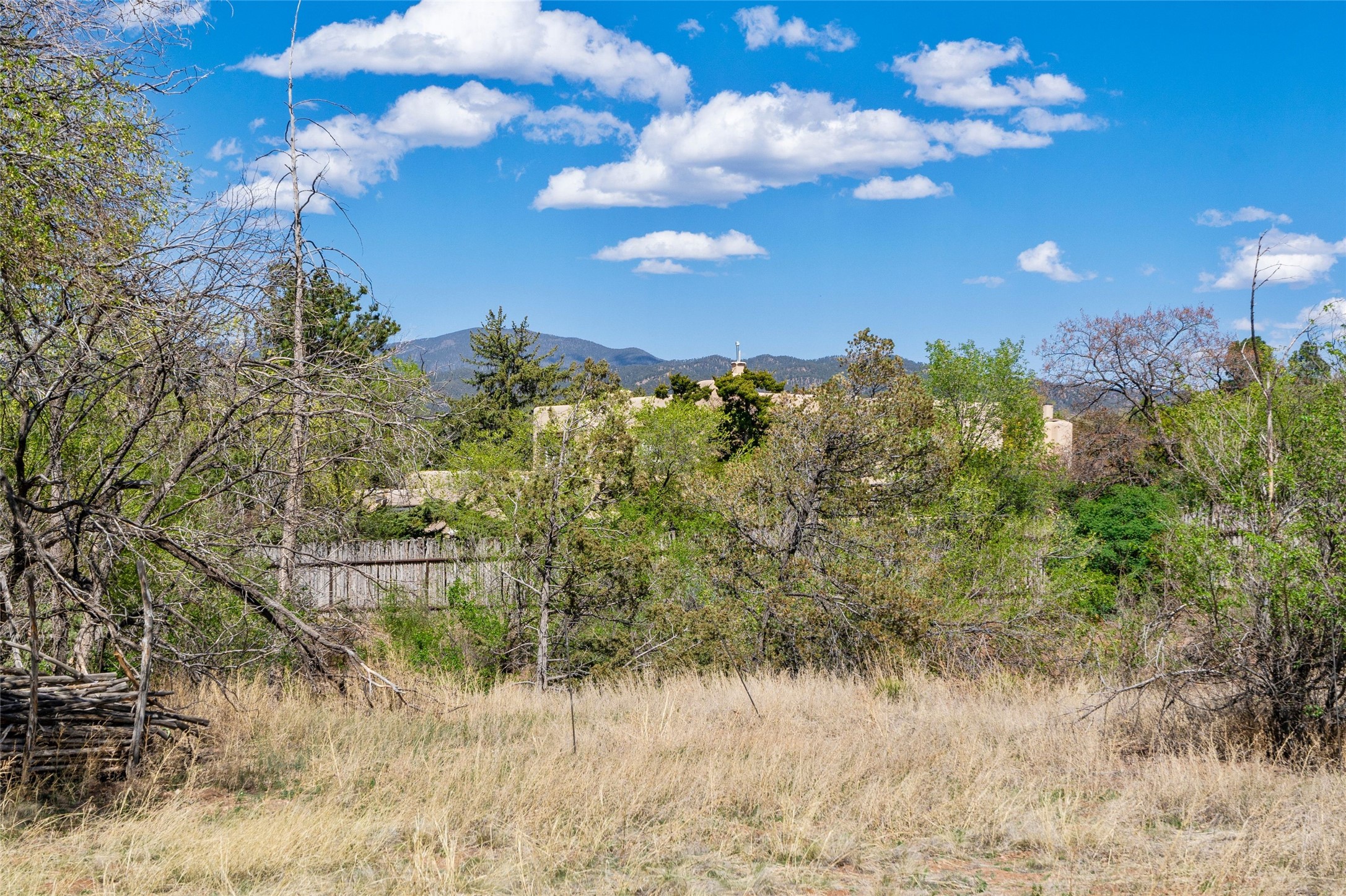 449 Camino Monte Vista, Santa Fe, New Mexico image 4