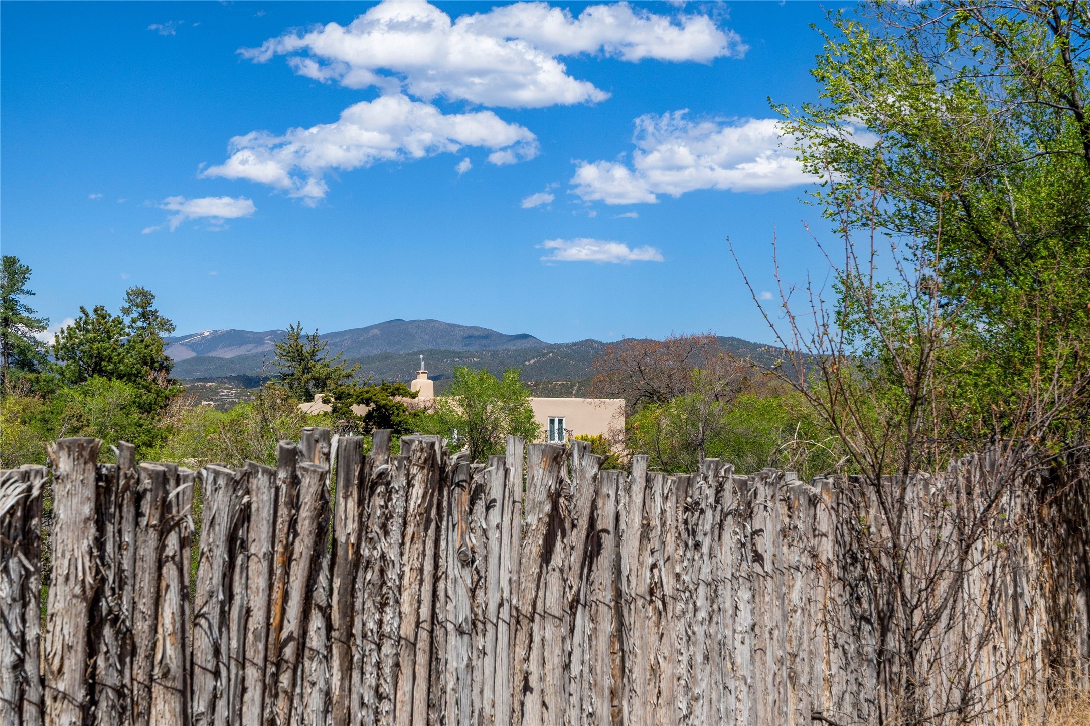 449 Camino Monte Vista, Santa Fe, New Mexico image 3