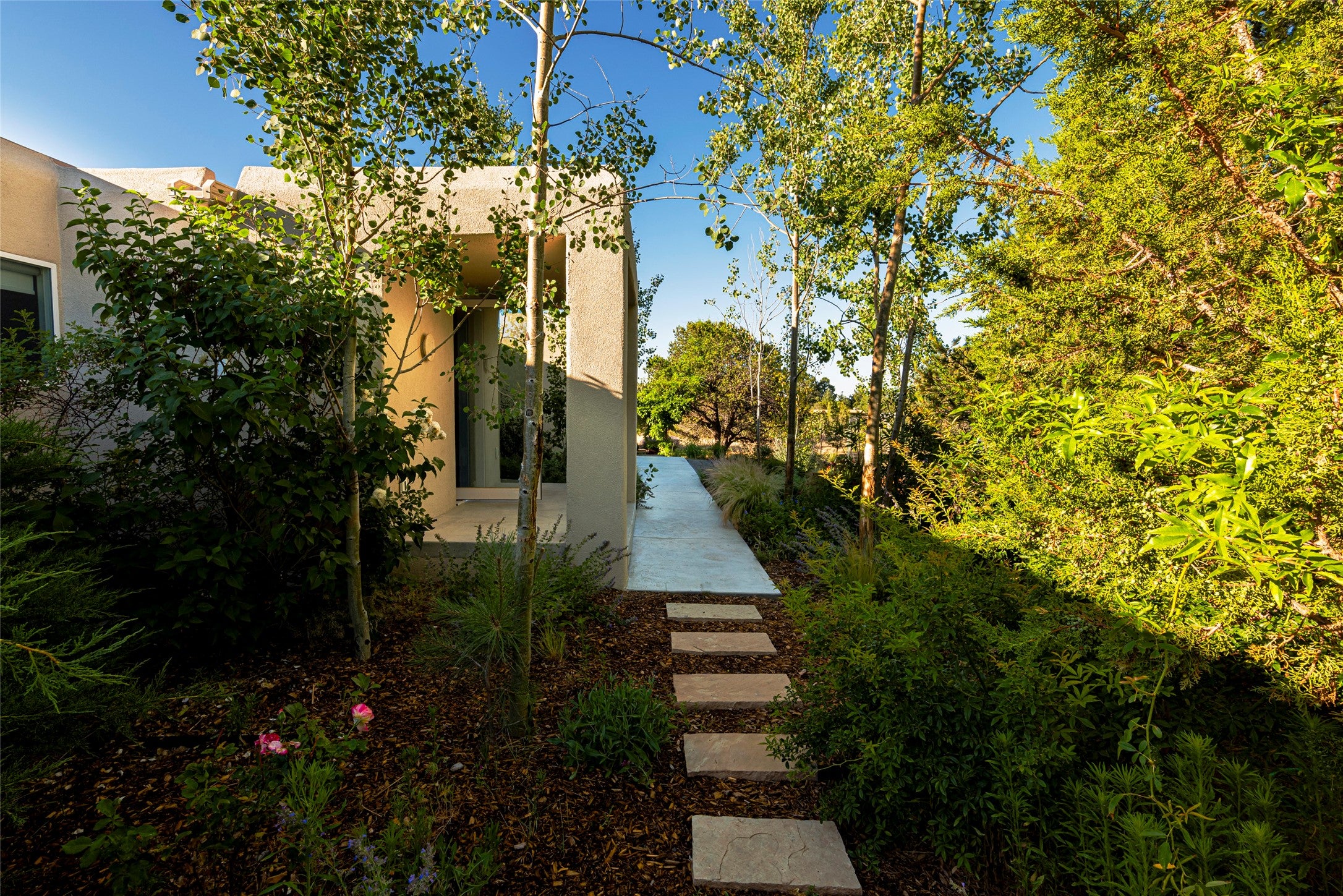 2115 Calle Azulejo - Photo 4
