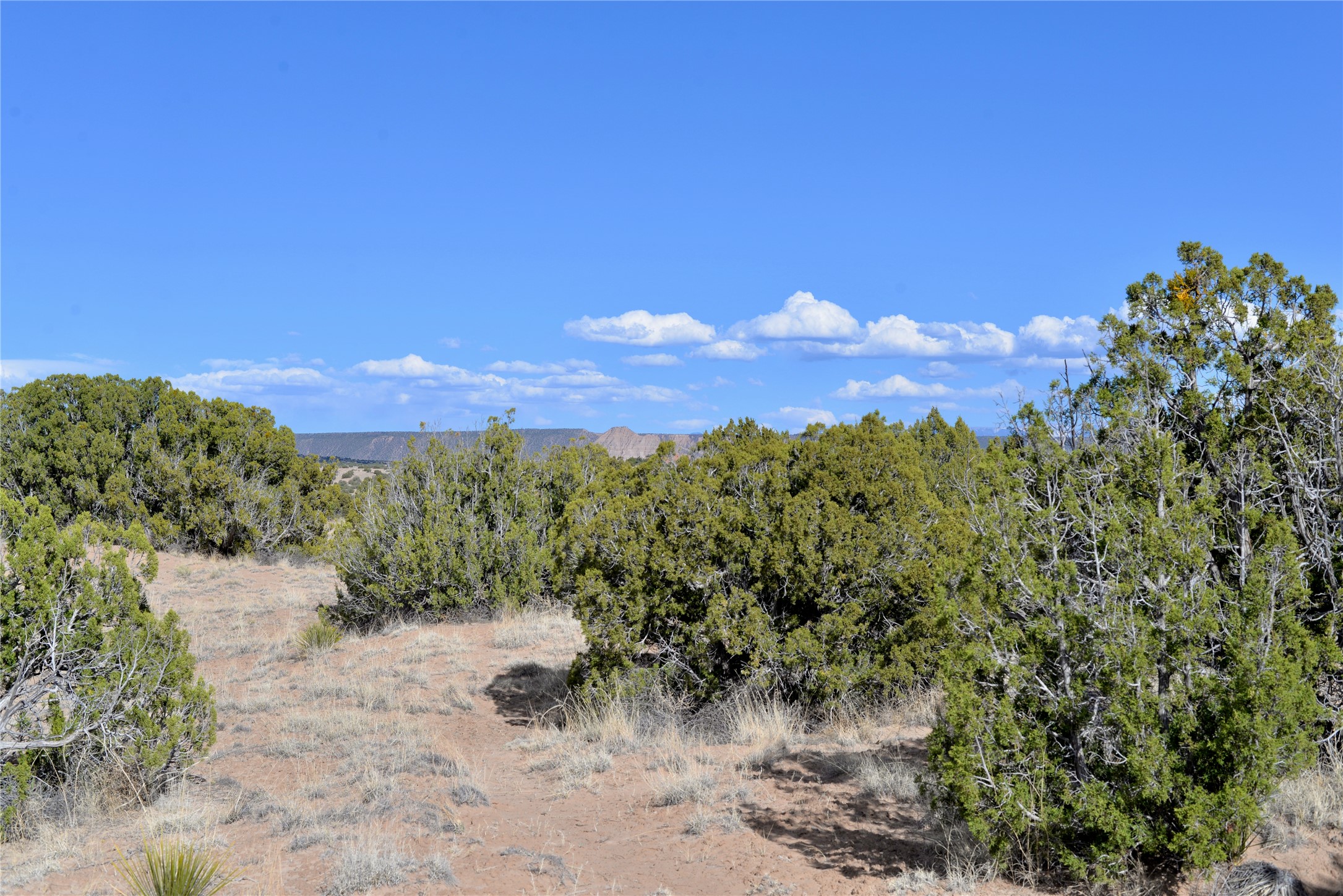 Lot 3 Private Drive 1614a, Medanales, New Mexico image 16