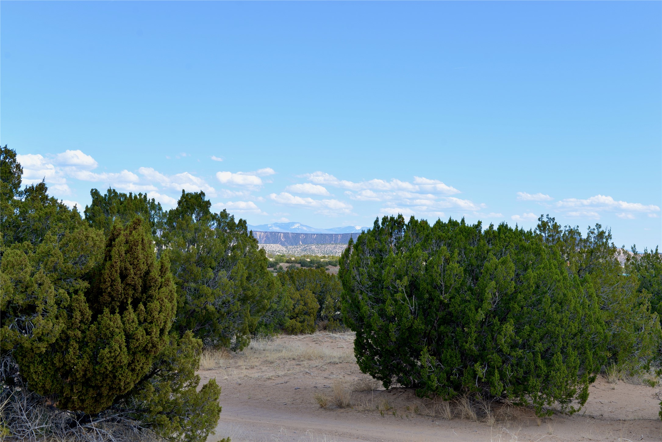 Lot 3 Private Drive 1614a, Medanales, New Mexico image 10