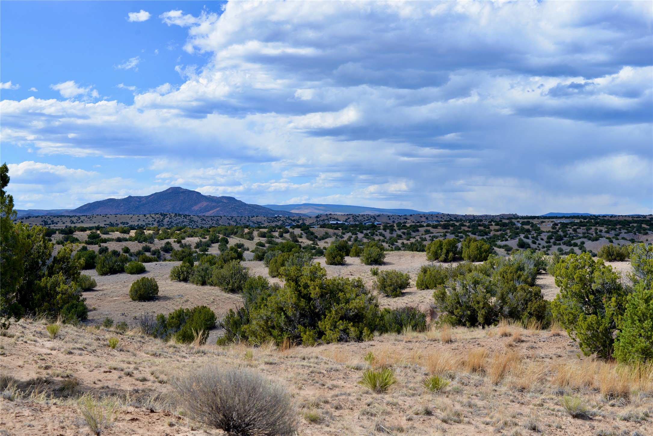 Lot 3 Private Drive 1614a, Medanales, New Mexico image 2