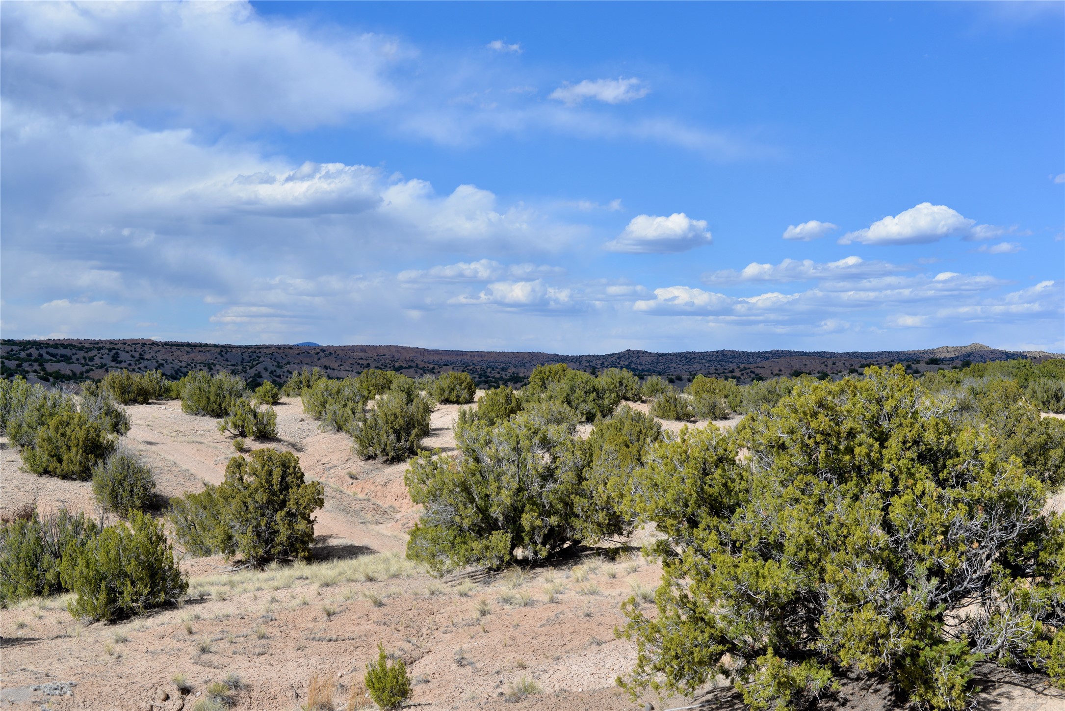 Lot 3 Private Drive 1614a, Medanales, New Mexico image 7
