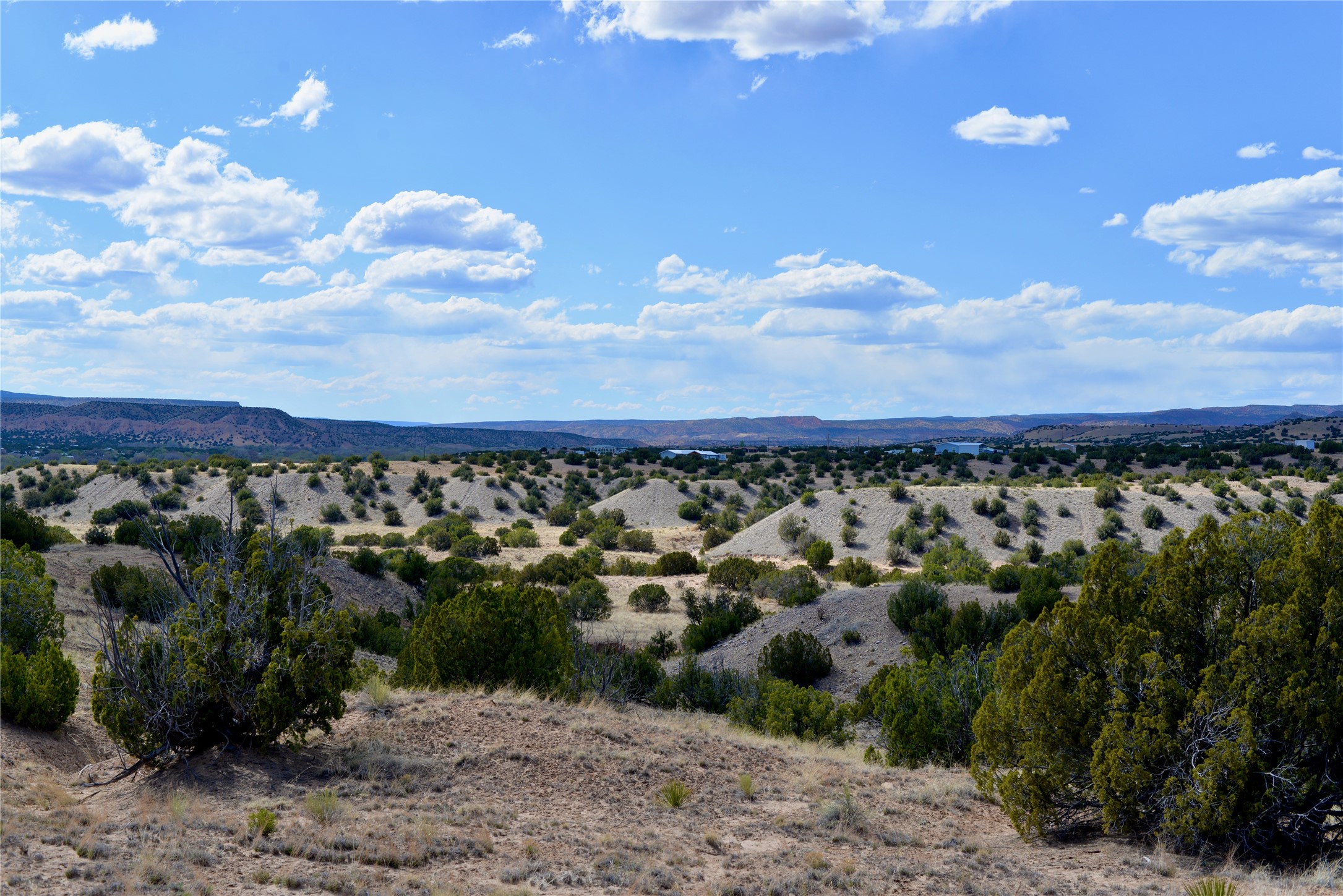 Lot 3 Private Drive 1614a, Medanales, New Mexico image 4