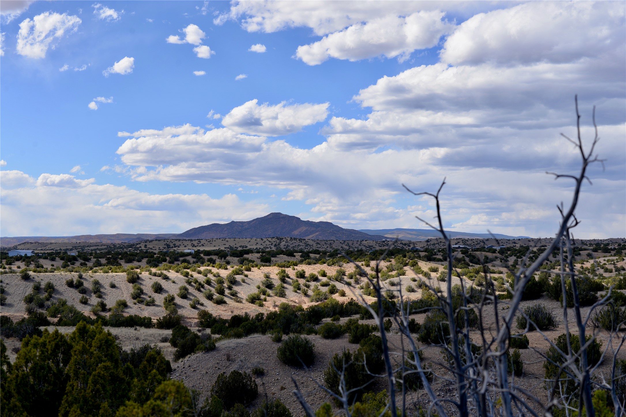 Lot 3 Private Drive 1614a, Medanales, New Mexico image 14