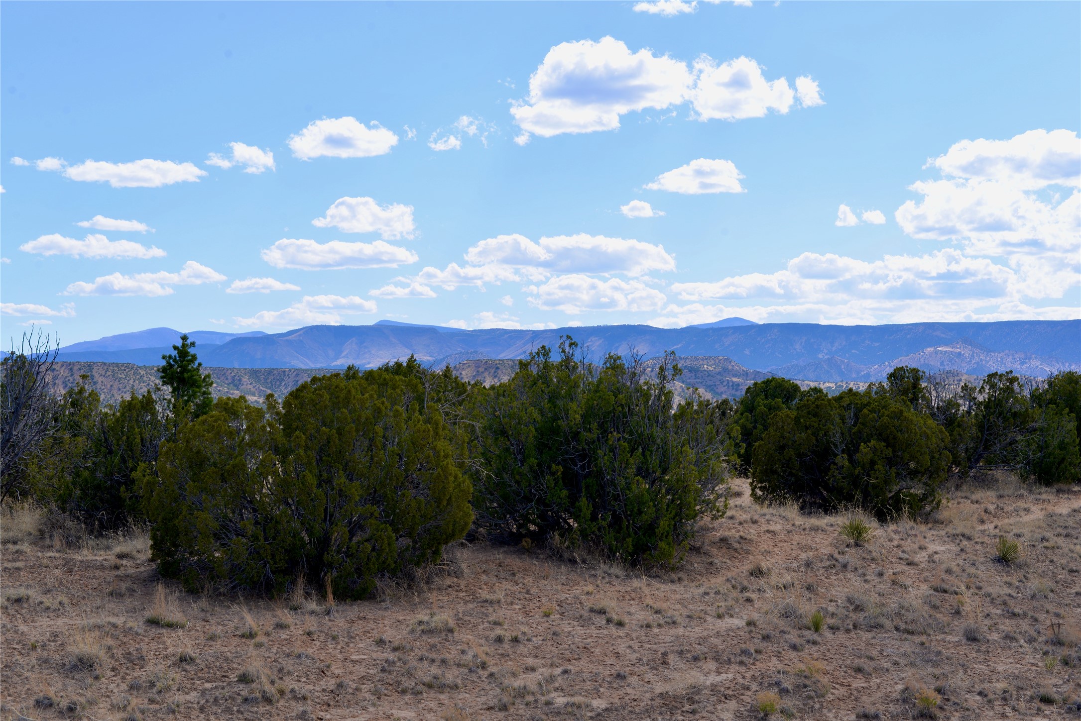 Lot 3 Private Drive 1614a, Medanales, New Mexico image 6