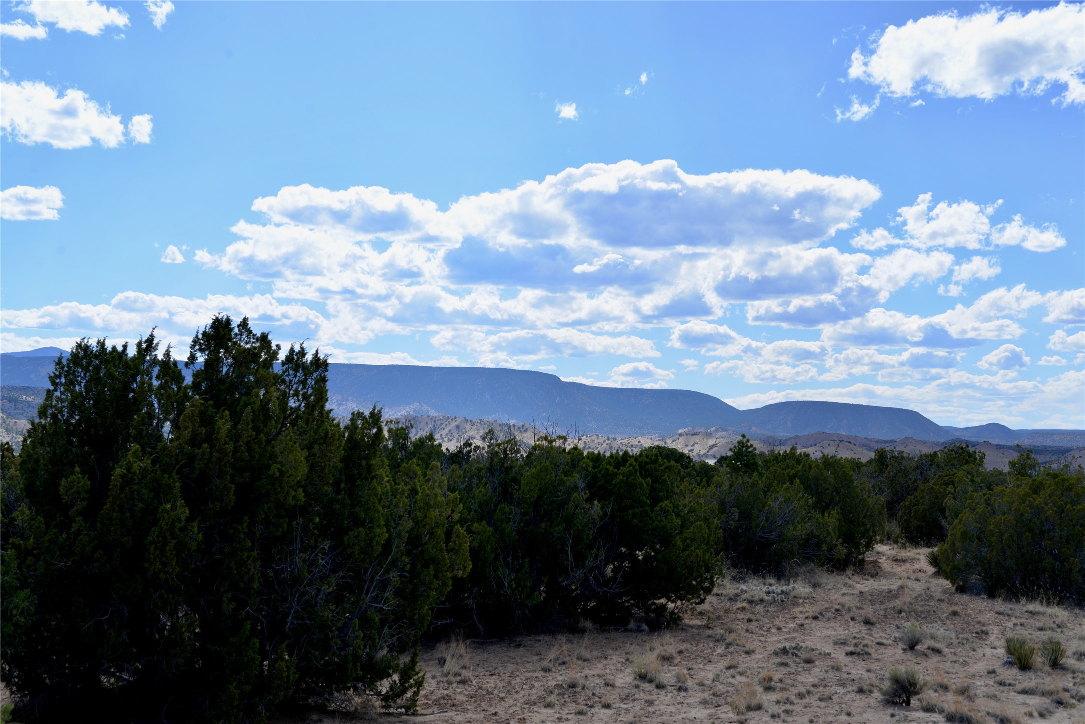 Lot 3 Private Drive 1614a, Medanales, New Mexico image 3