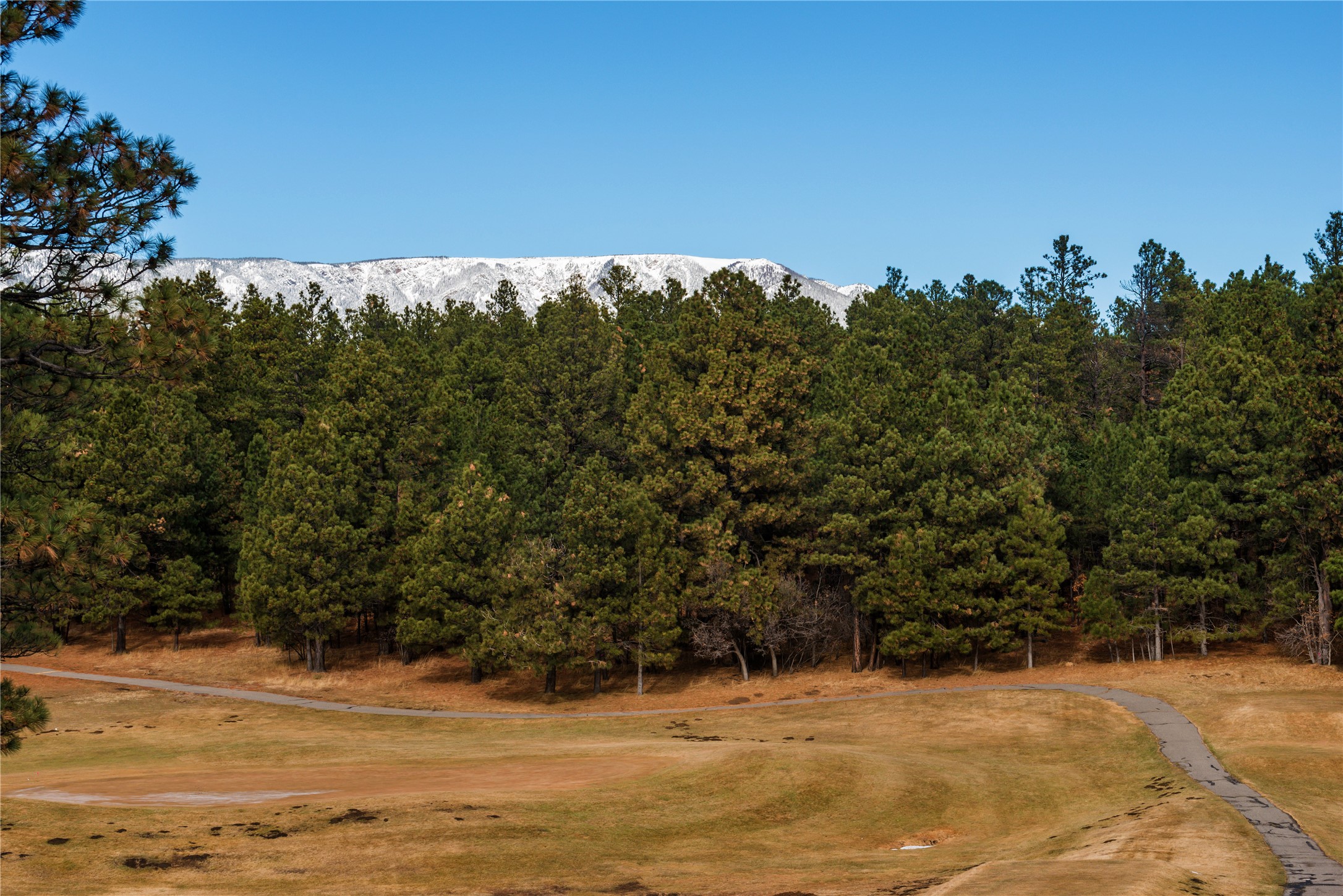 Lot 92 West Forest Drive, Rociada, New Mexico image 7