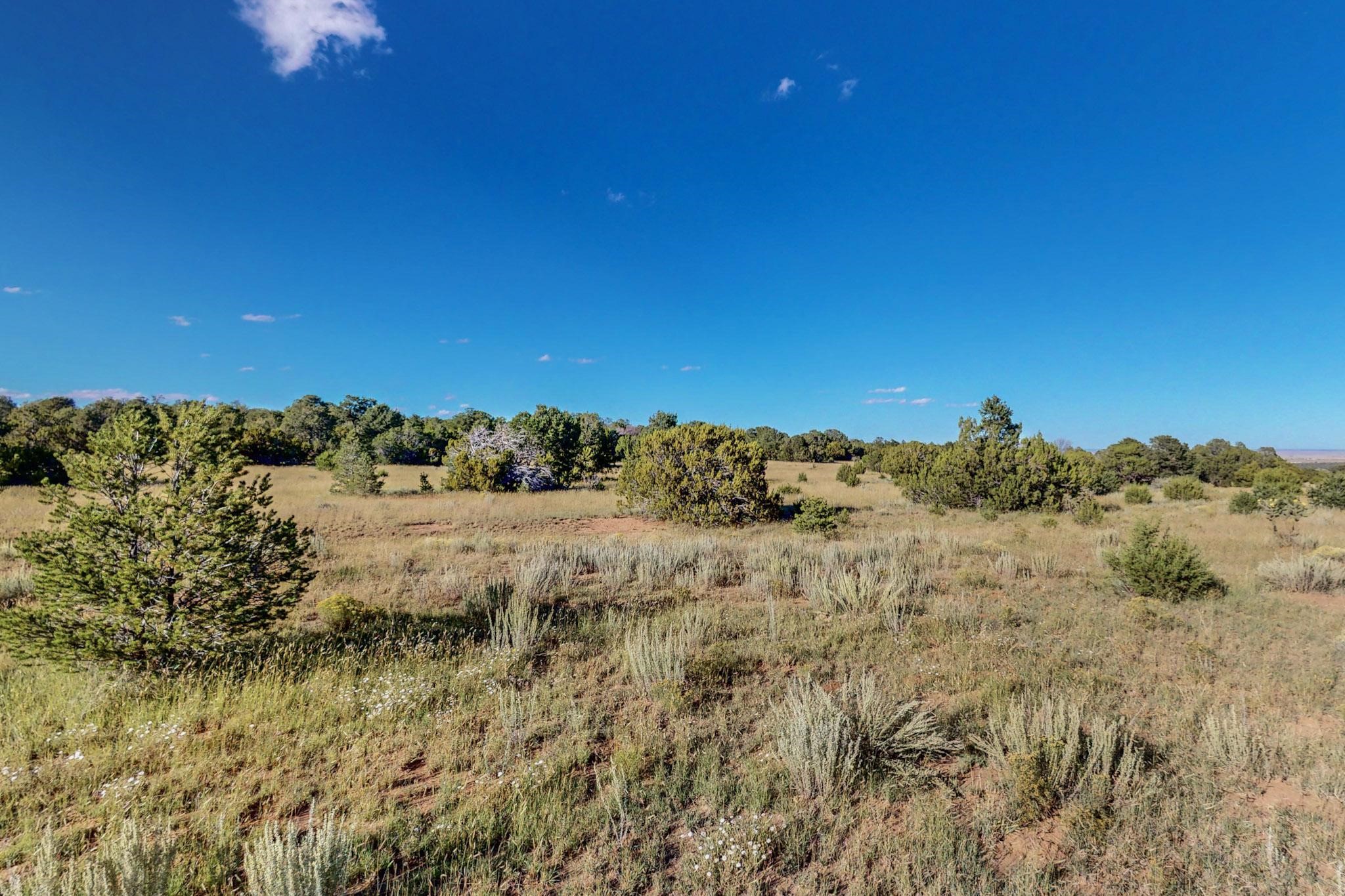 64 Saddle Spur Trail Trl, Edgewood, New Mexico image 18