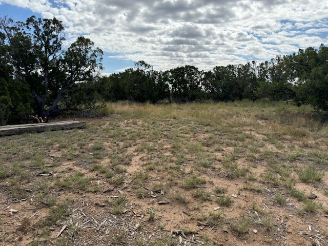 3 Gavilan Road Rd, Santa Fe, New Mexico image 17