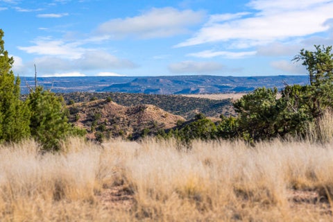 Vacant Land For Sale - 19 Del Charro Rd<br/> Lamy, NM 87540