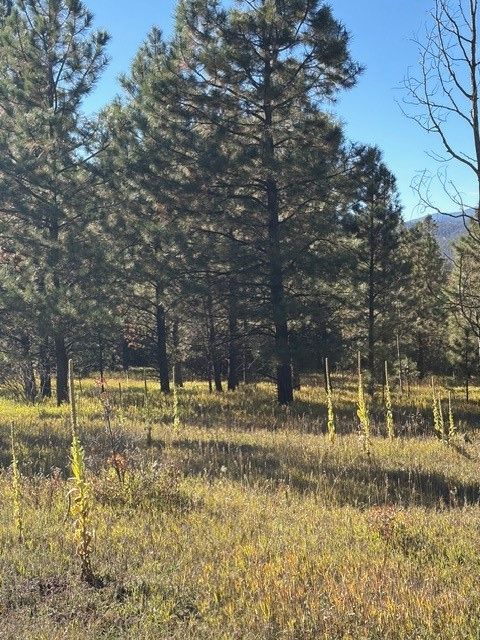 Vacant Land For Sale - LOT F-2 Section 21,2.024 Acres In El Macho Canyo<br/> Pecos, NM 87552
