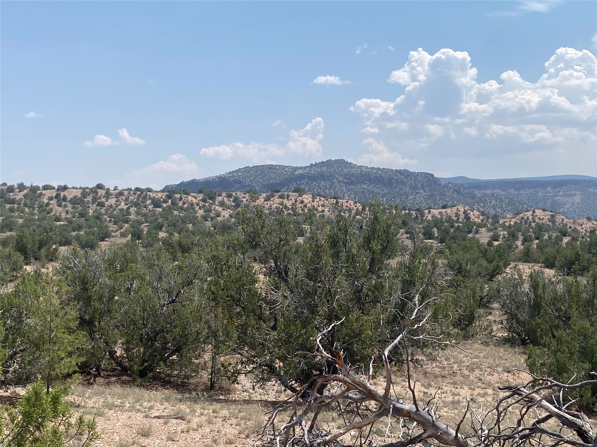 Near Kalitaya Way, Santa Fe, New Mexico image 8