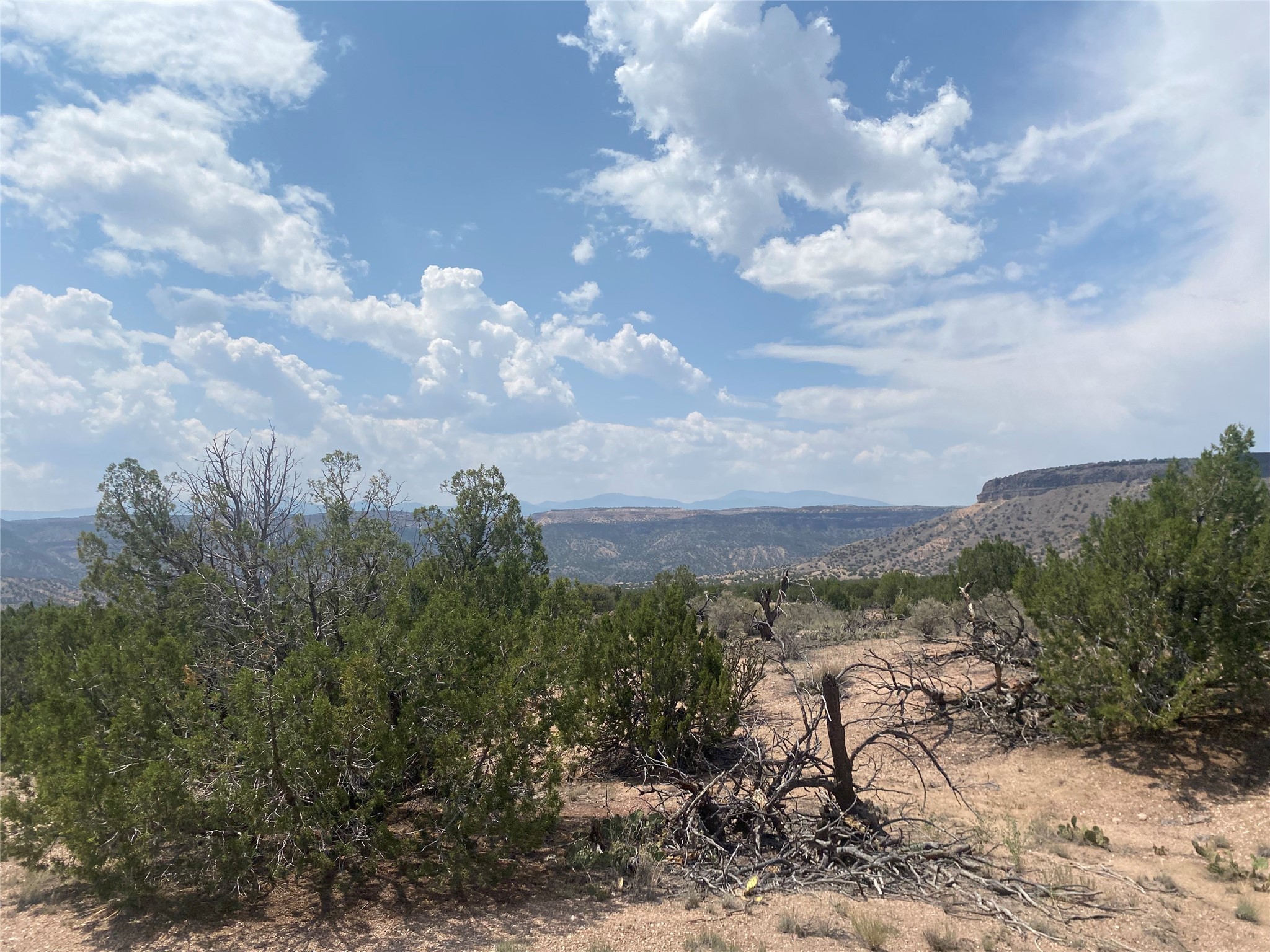 Near Kalitaya Way, Santa Fe, New Mexico image 32