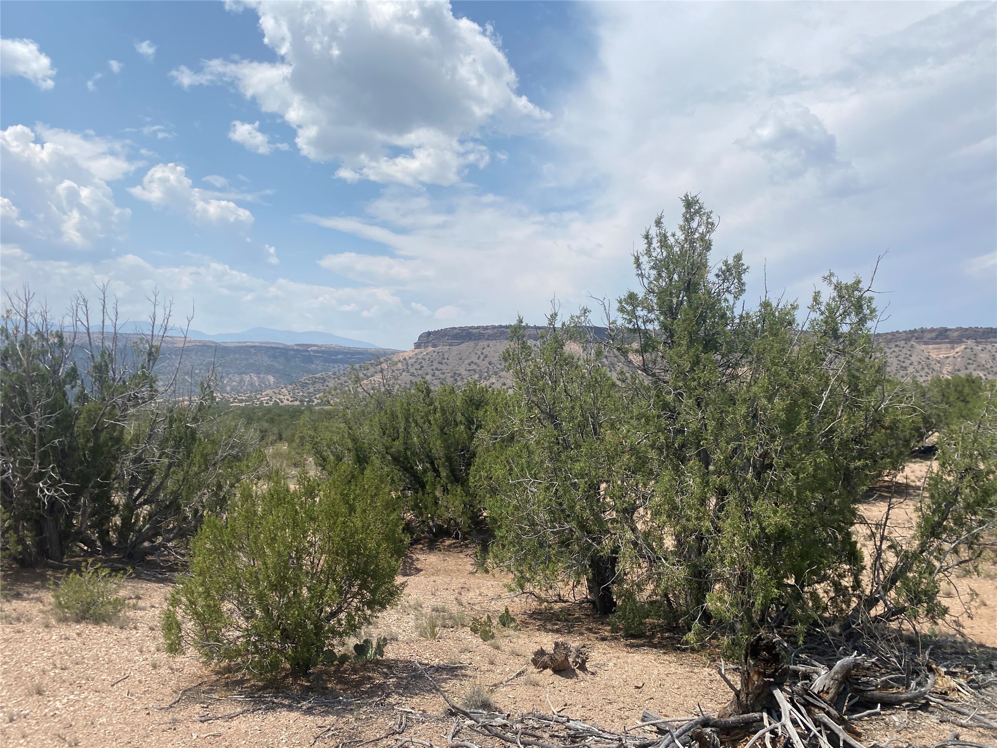 Near Kalitaya Way, Santa Fe, New Mexico image 20
