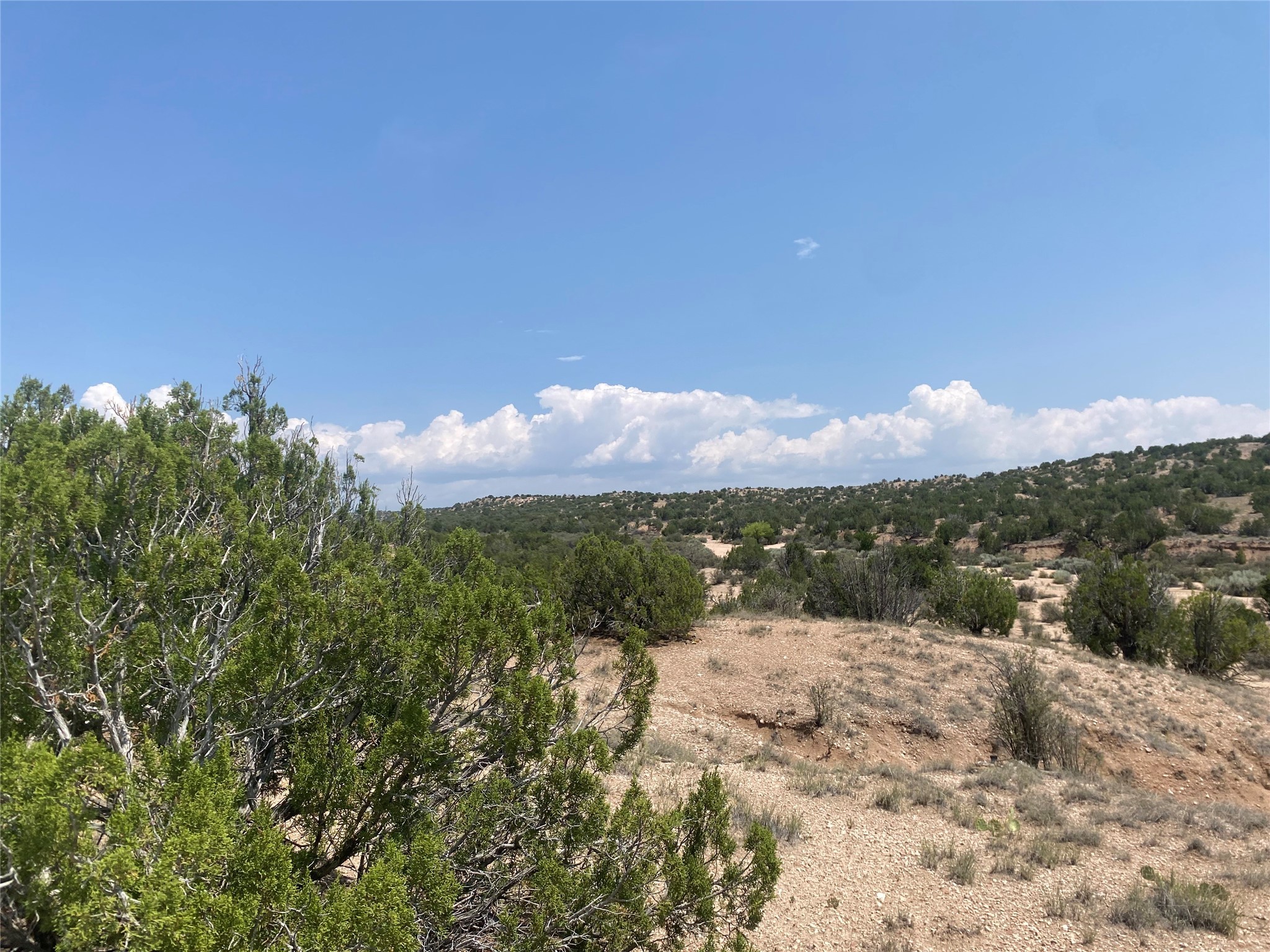 Near Kalitaya Way, Santa Fe, New Mexico image 5