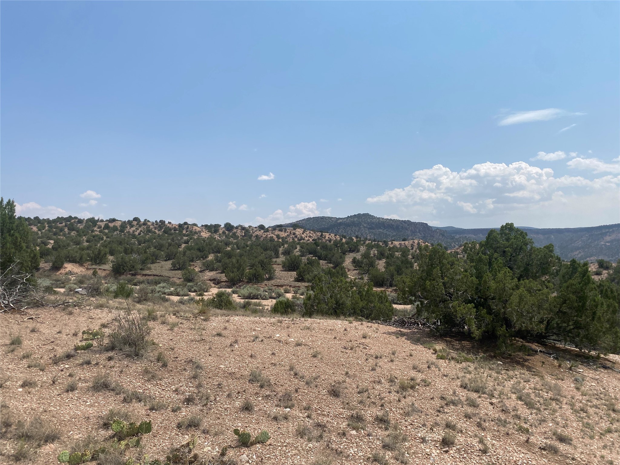 Near Kalitaya Way, Santa Fe, New Mexico image 35