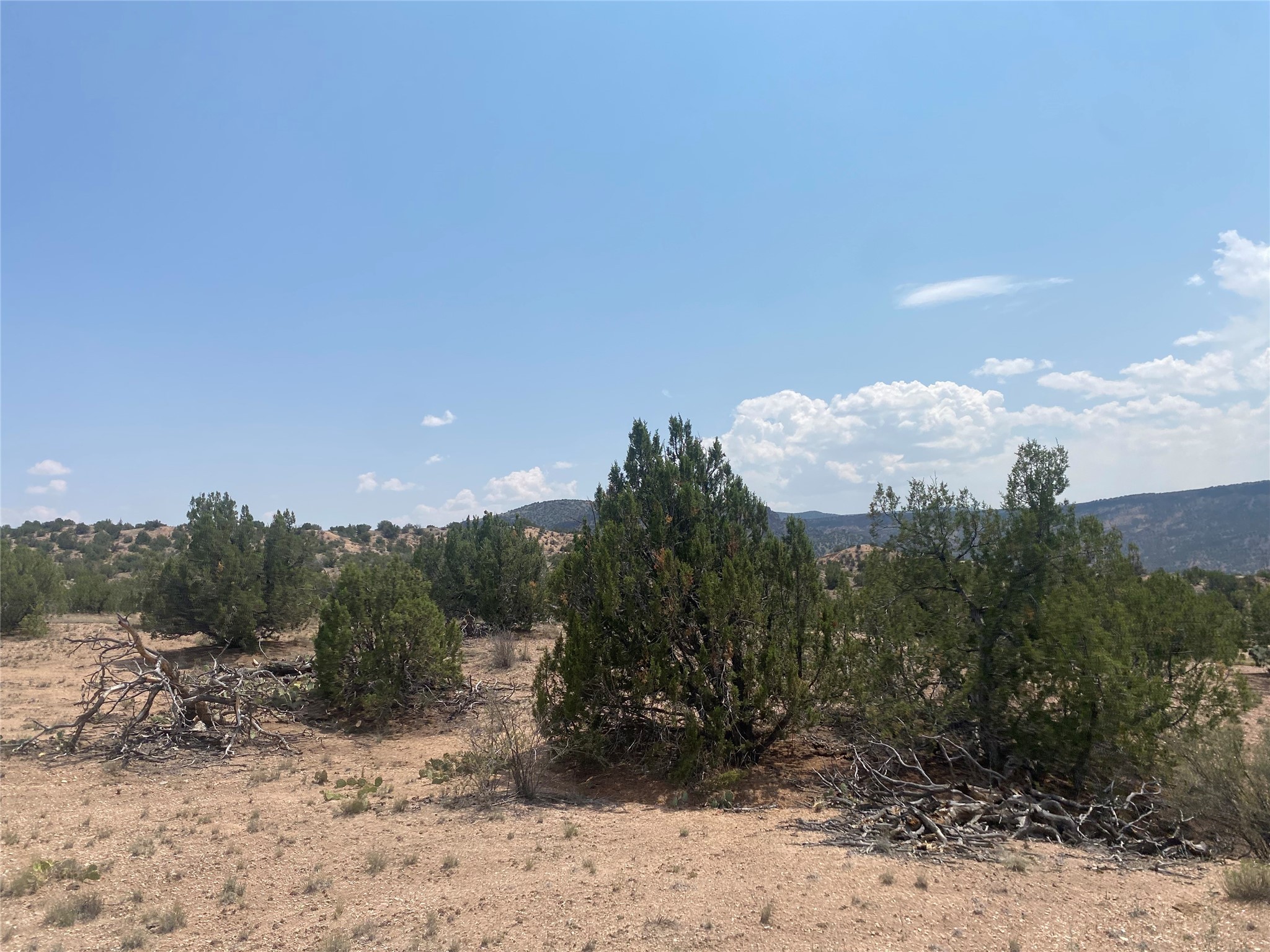 Near Kalitaya Way, Santa Fe, New Mexico image 24